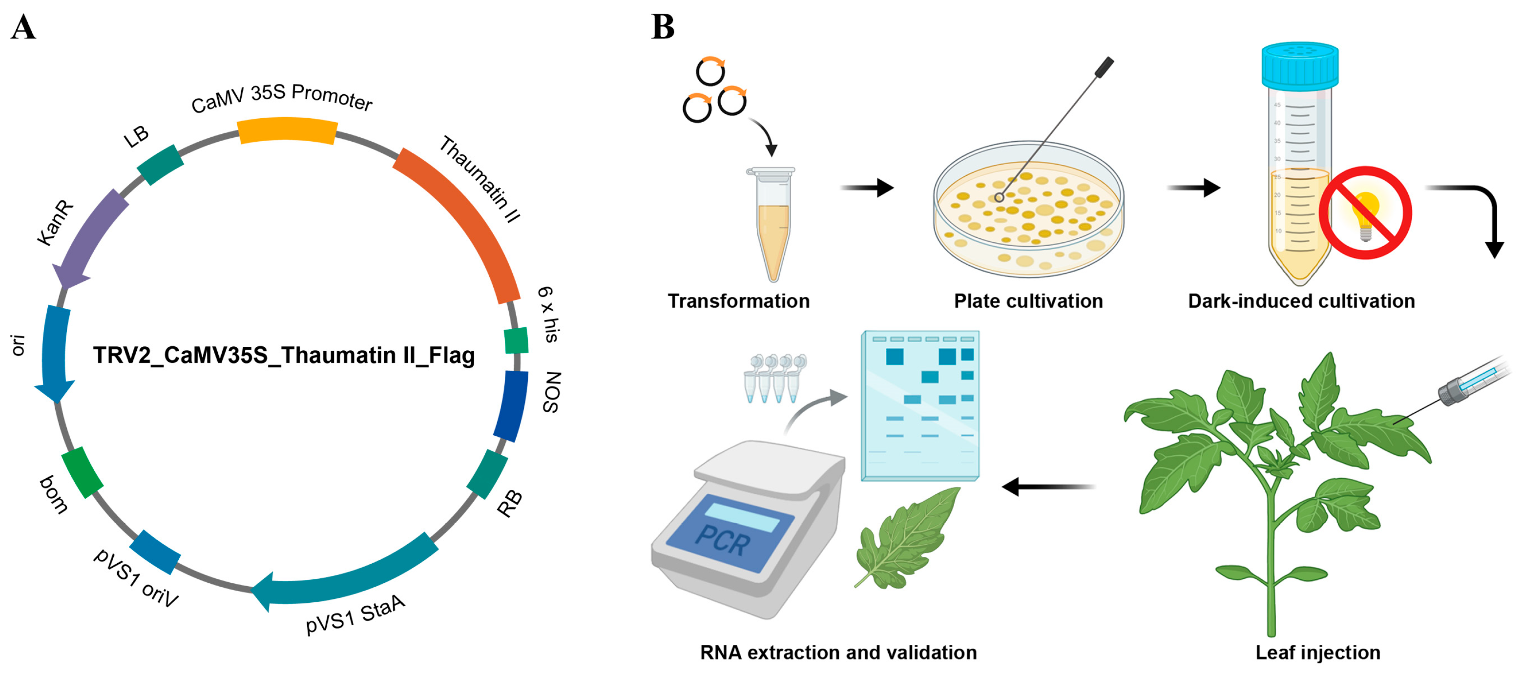 Horticulturae 11 01284 g001 Horticulturae 11 01284 g001