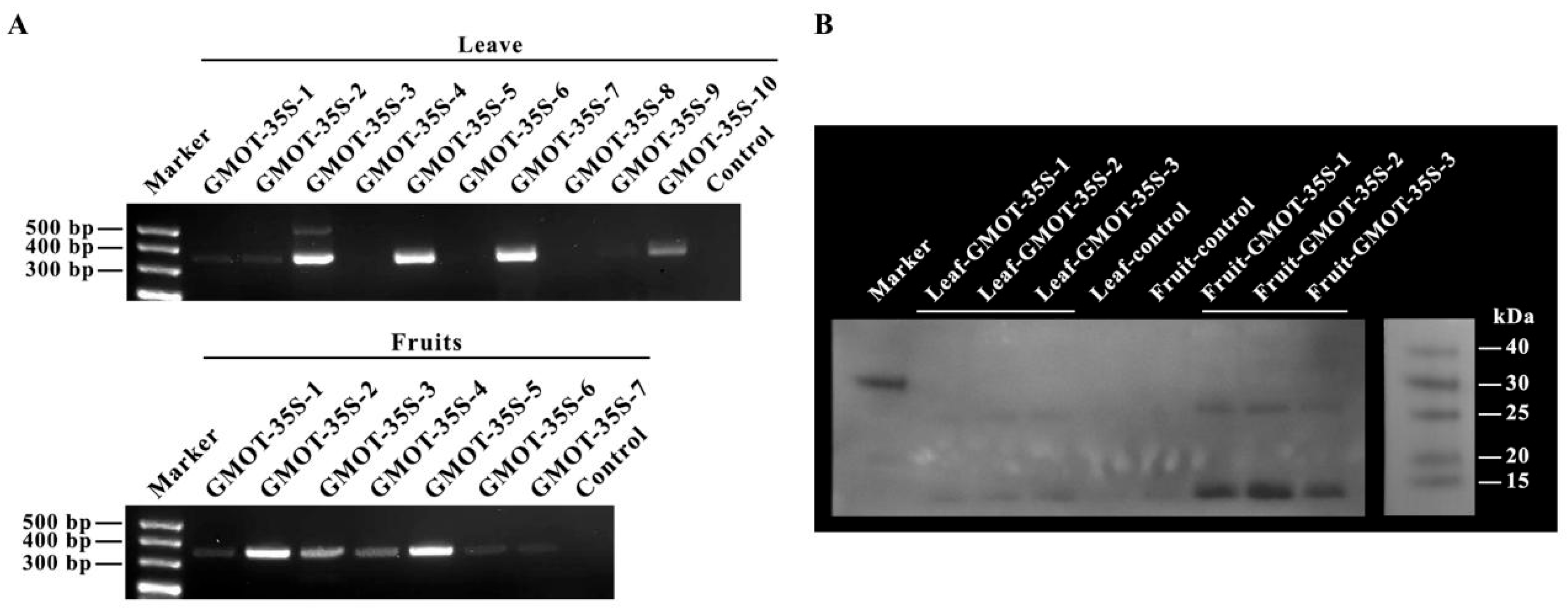 Horticulturae 11 01284 g004 Horticulturae 11 01284 g004