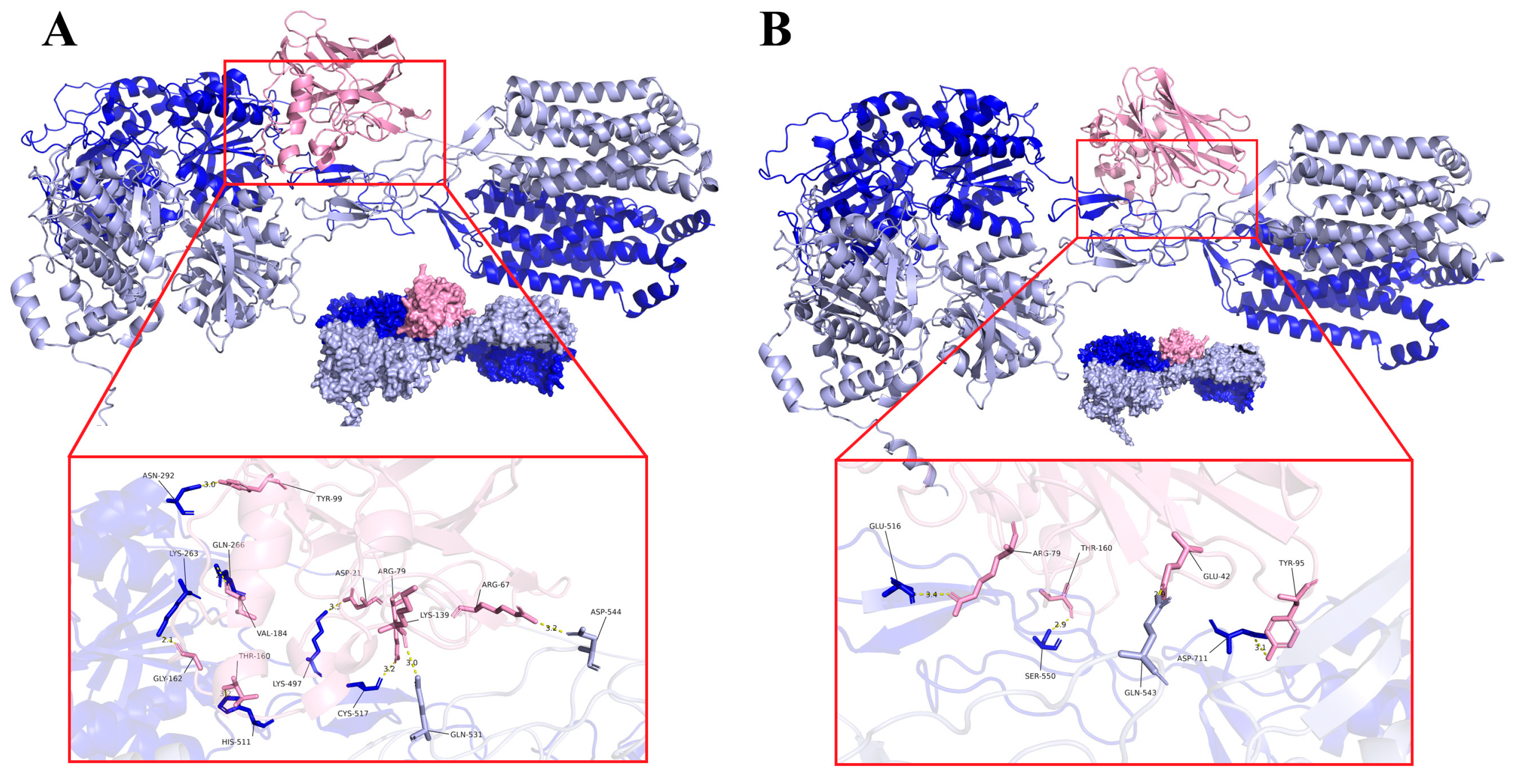 Horticulturae 11 01284 g005 Horticulturae 11 01284 g005