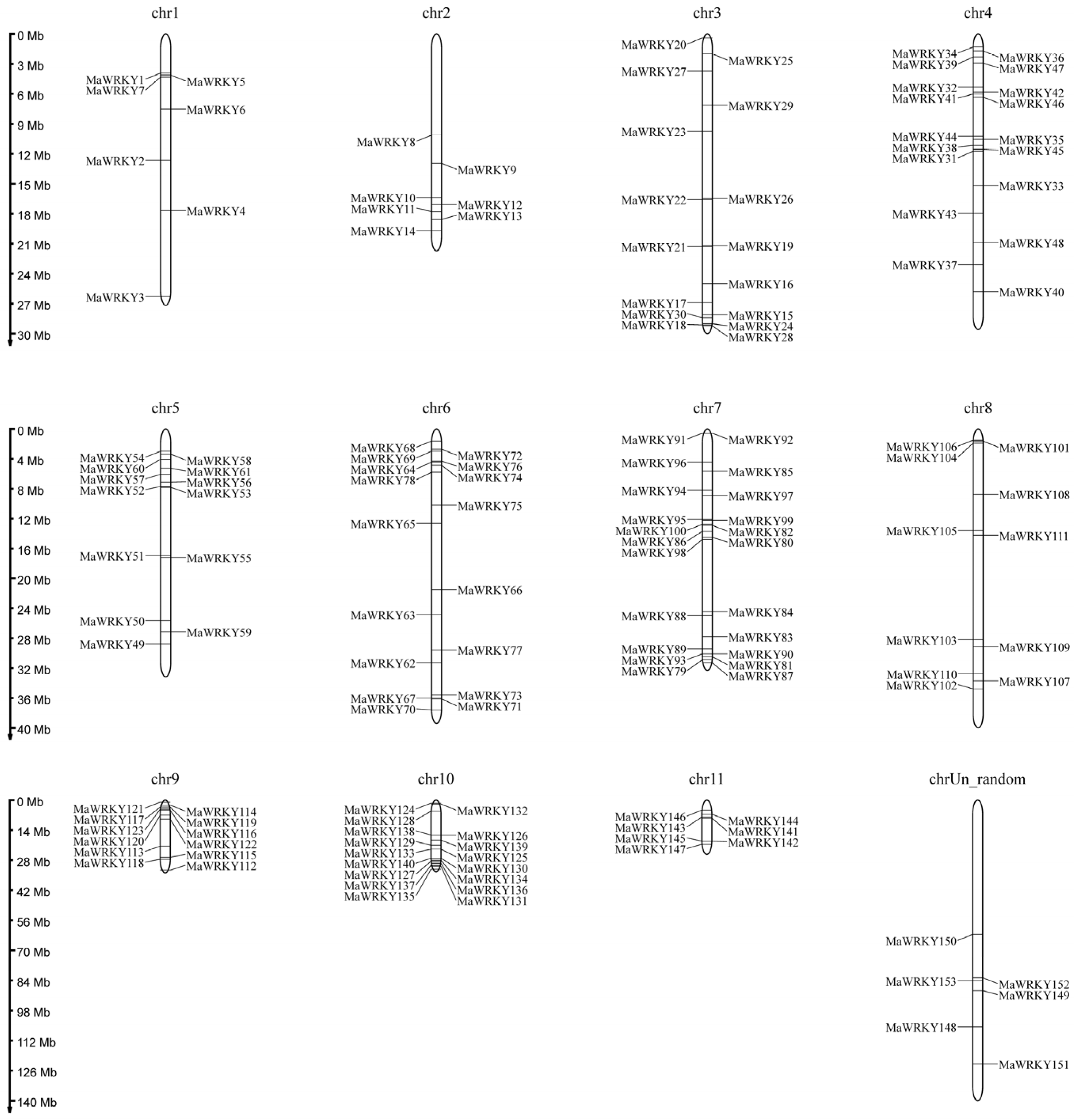 Horticulturae 11 01289 g001 Horticulturae 11 01289 g001