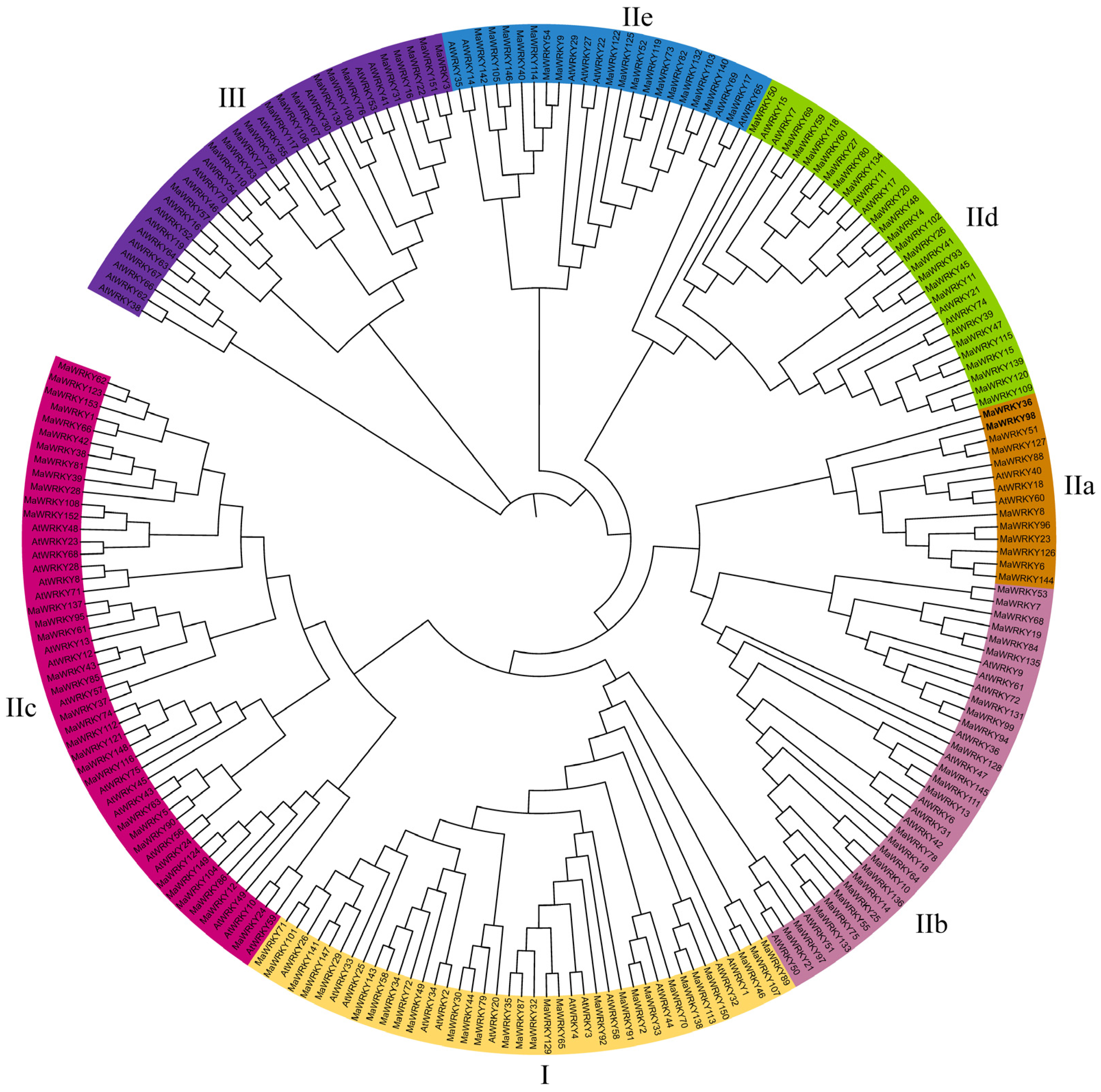Horticulturae 11 01289 g002 Horticulturae 11 01289 g002