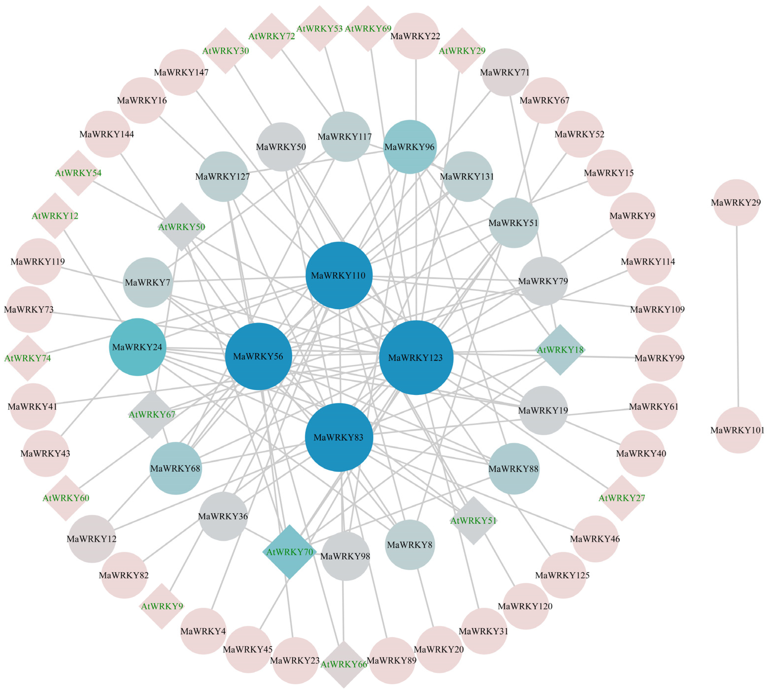 Horticulturae 11 01289 g005 Horticulturae 11 01289 g005