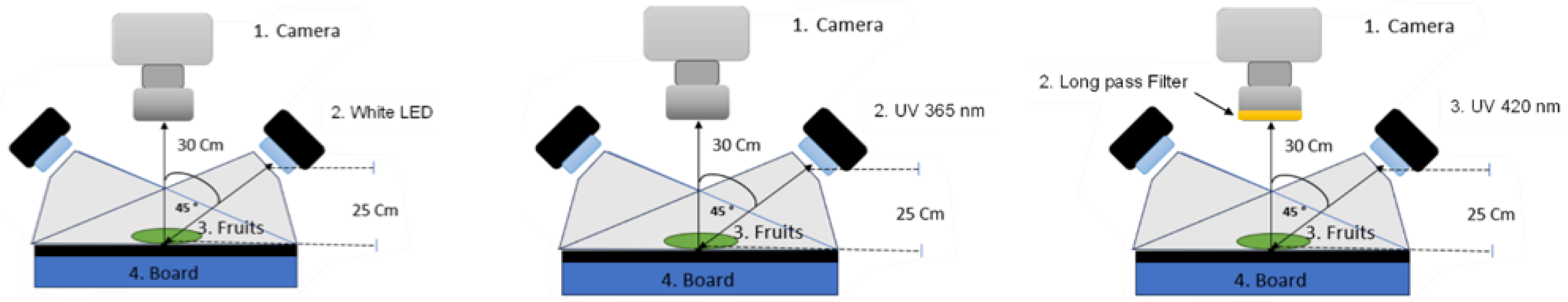 Horticulturae 11 01291 g002 Horticulturae 11 01291 g002