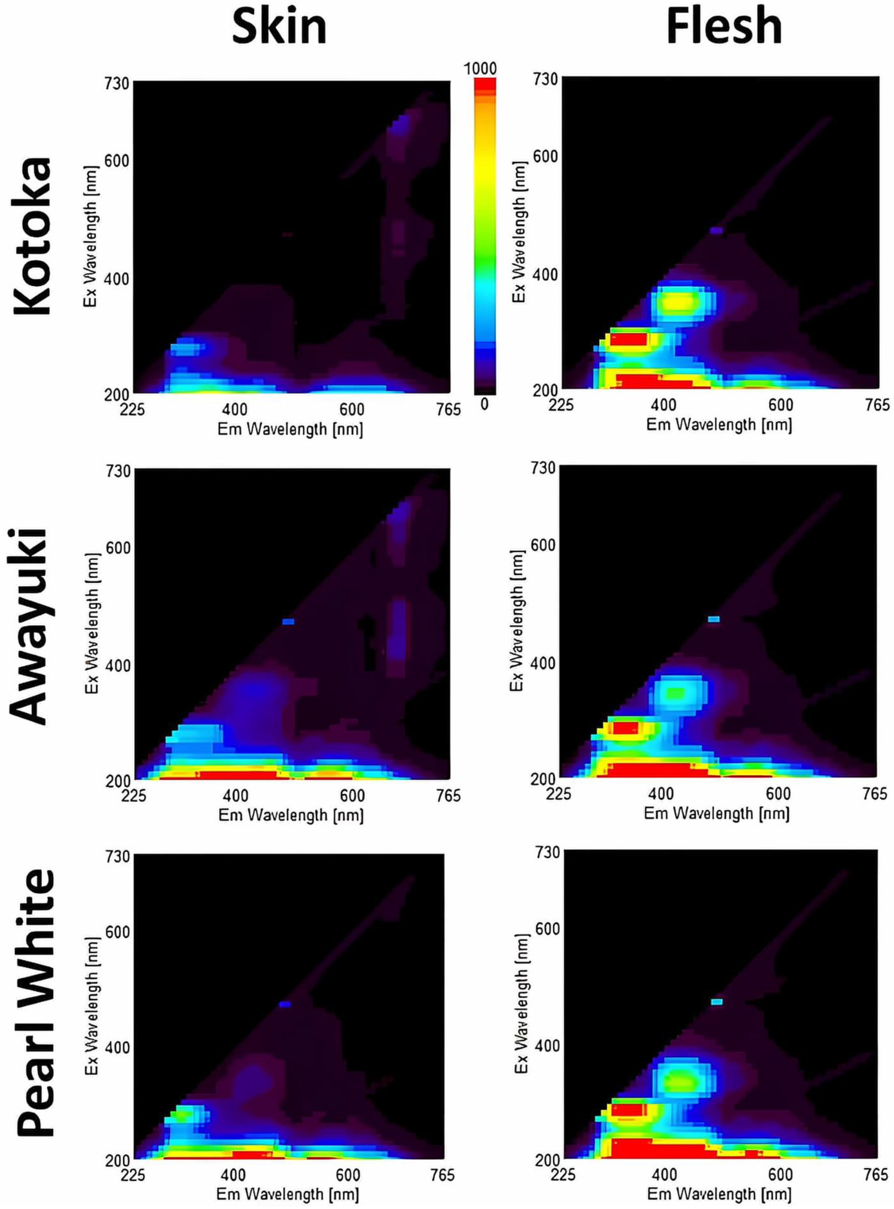 Horticulturae 11 01291 g004 Horticulturae 11 01291 g004