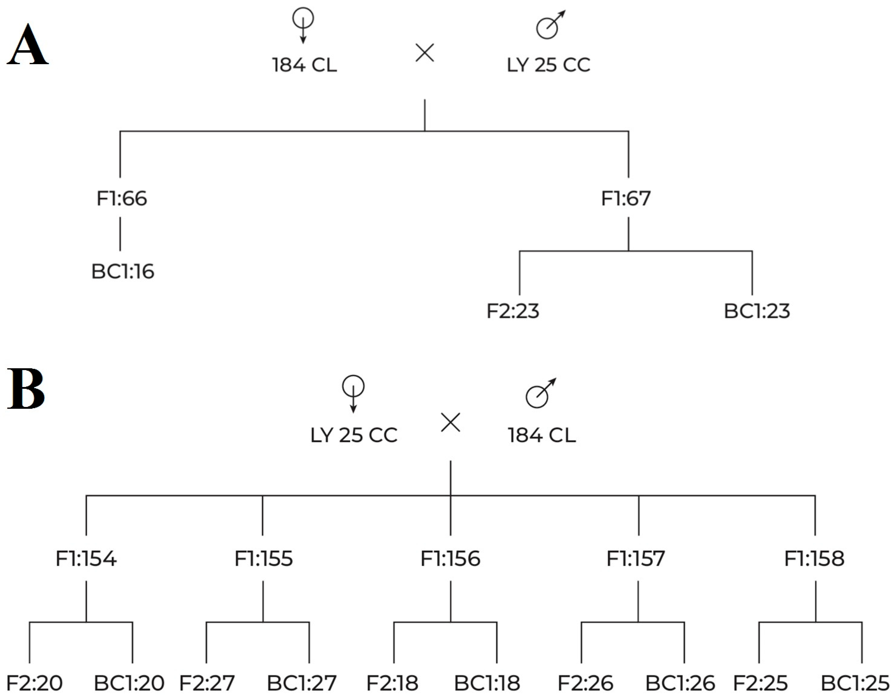Horticulturae 11 01304 g001
