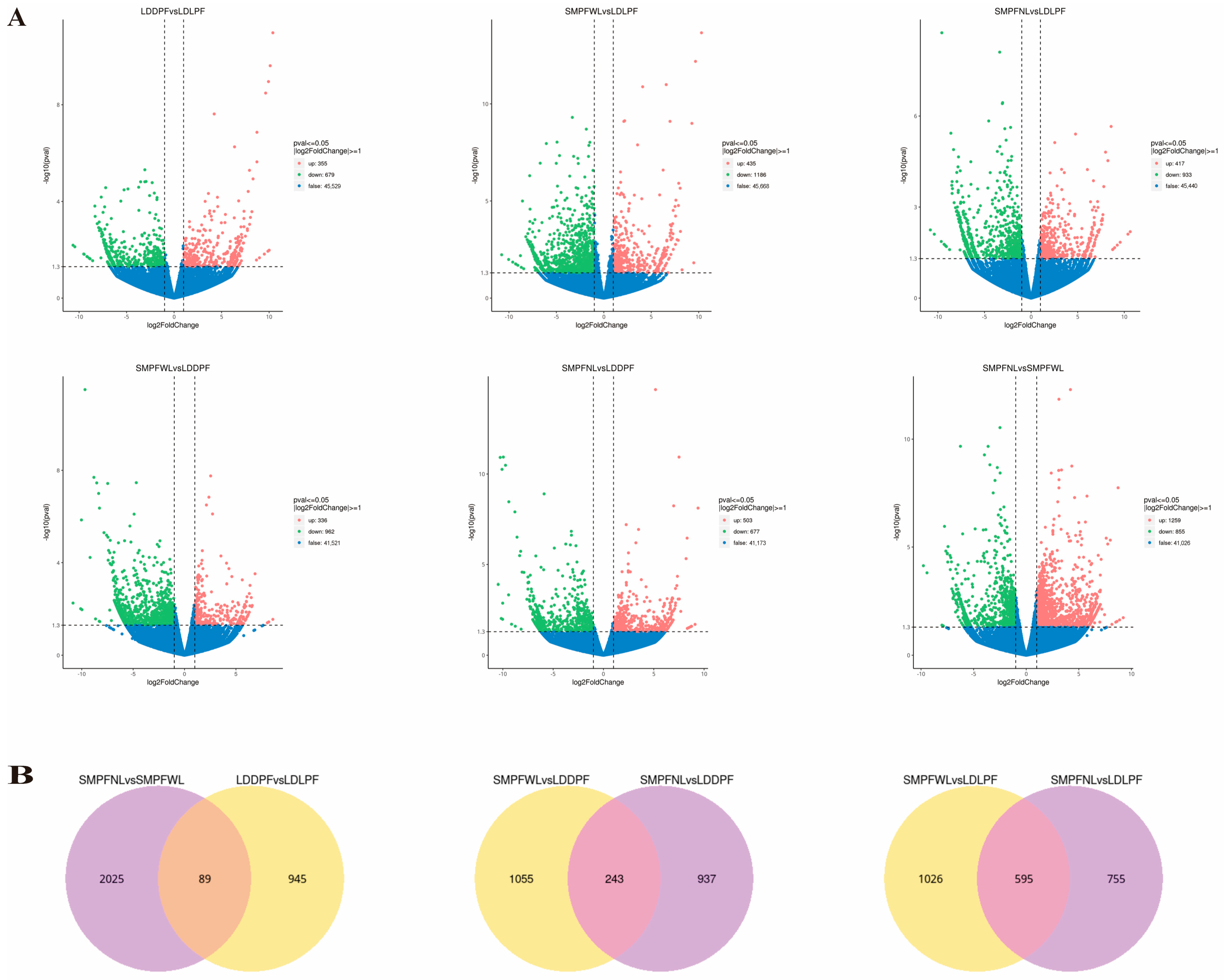 Horticulturae 11 01315 g007 Horticulturae 11 01315 g007