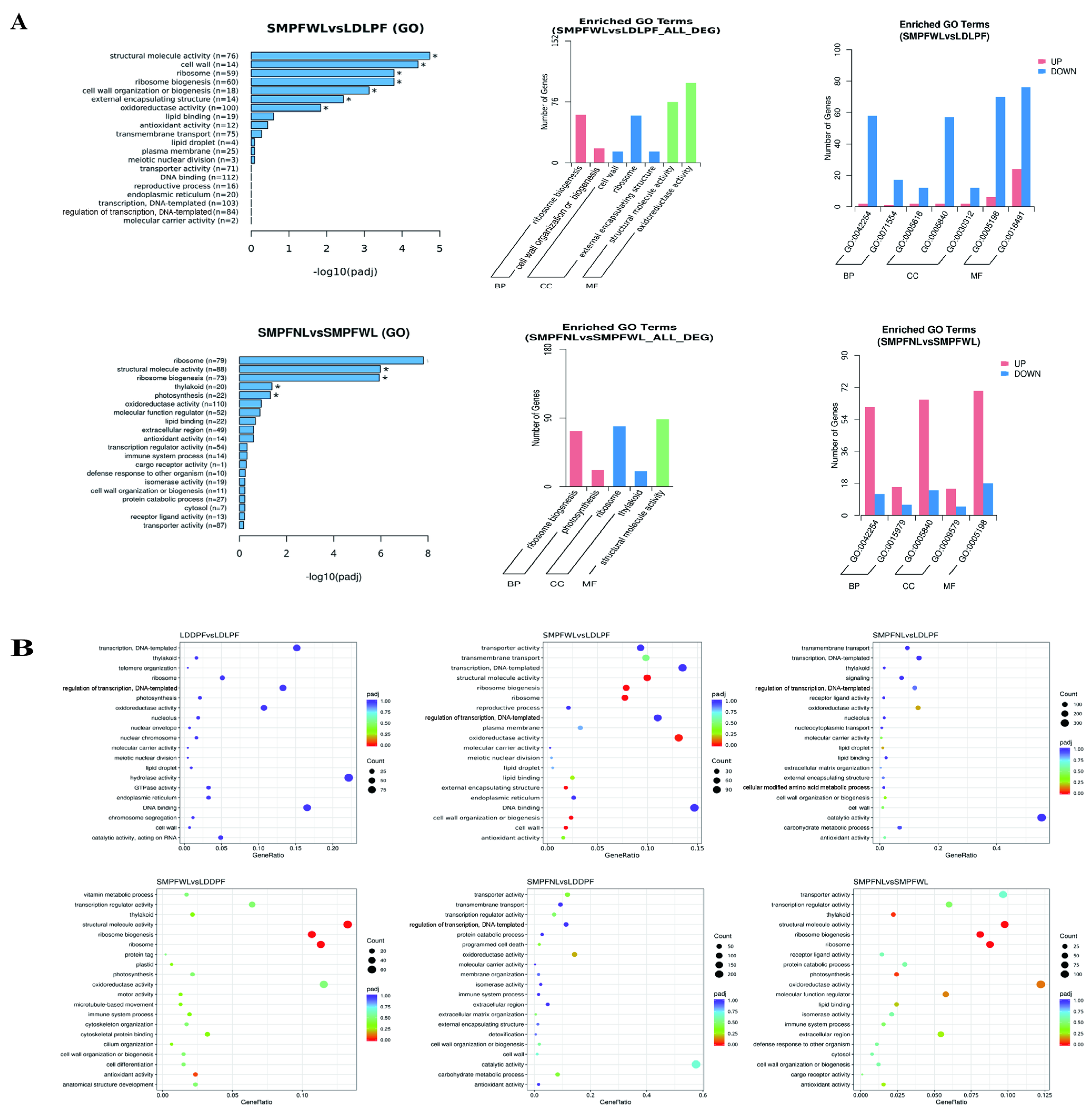Horticulturae 11 01315 g008 Horticulturae 11 01315 g008