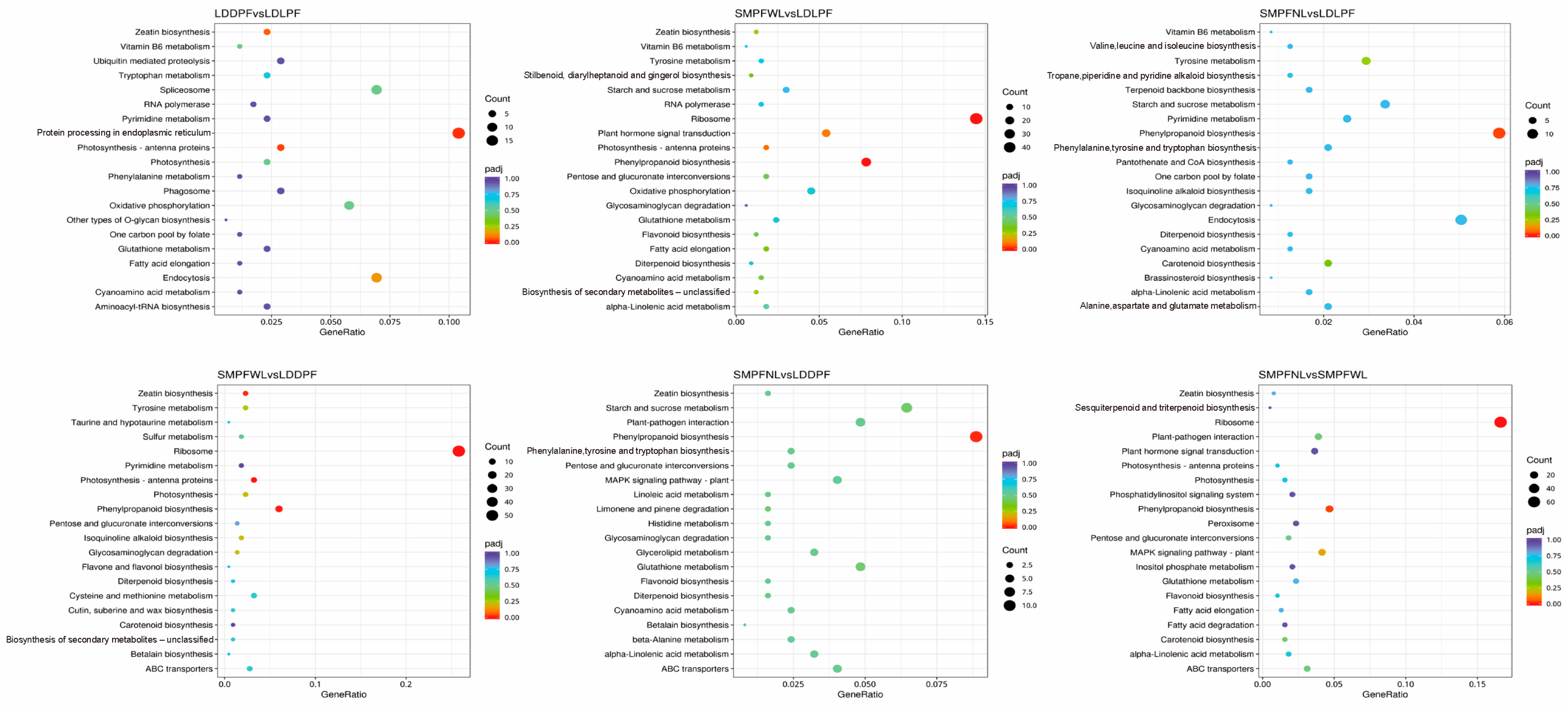 Horticulturae 11 01315 g009 Horticulturae 11 01315 g009