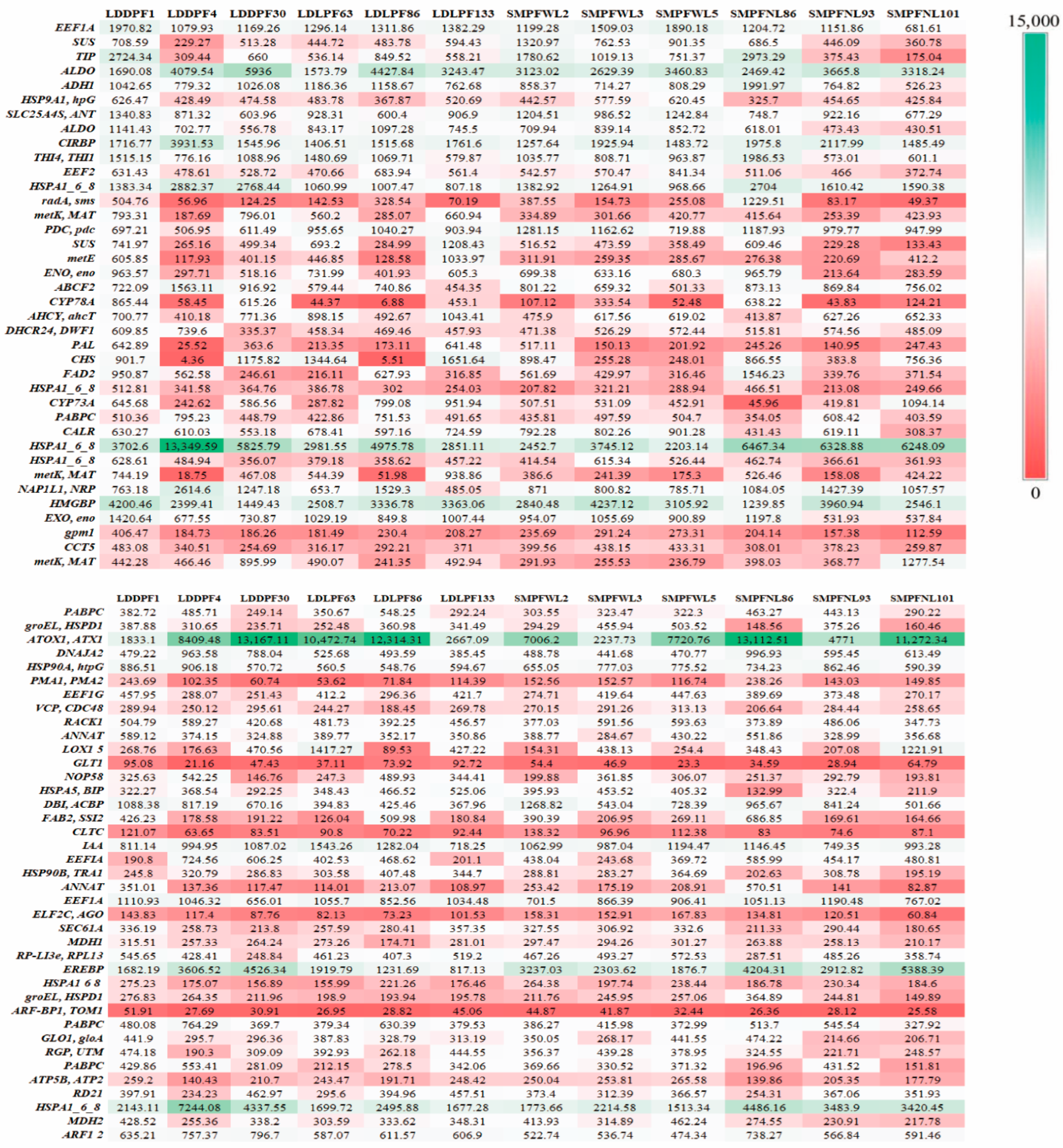 Horticulturae 11 01315 g010 Horticulturae 11 01315 g010