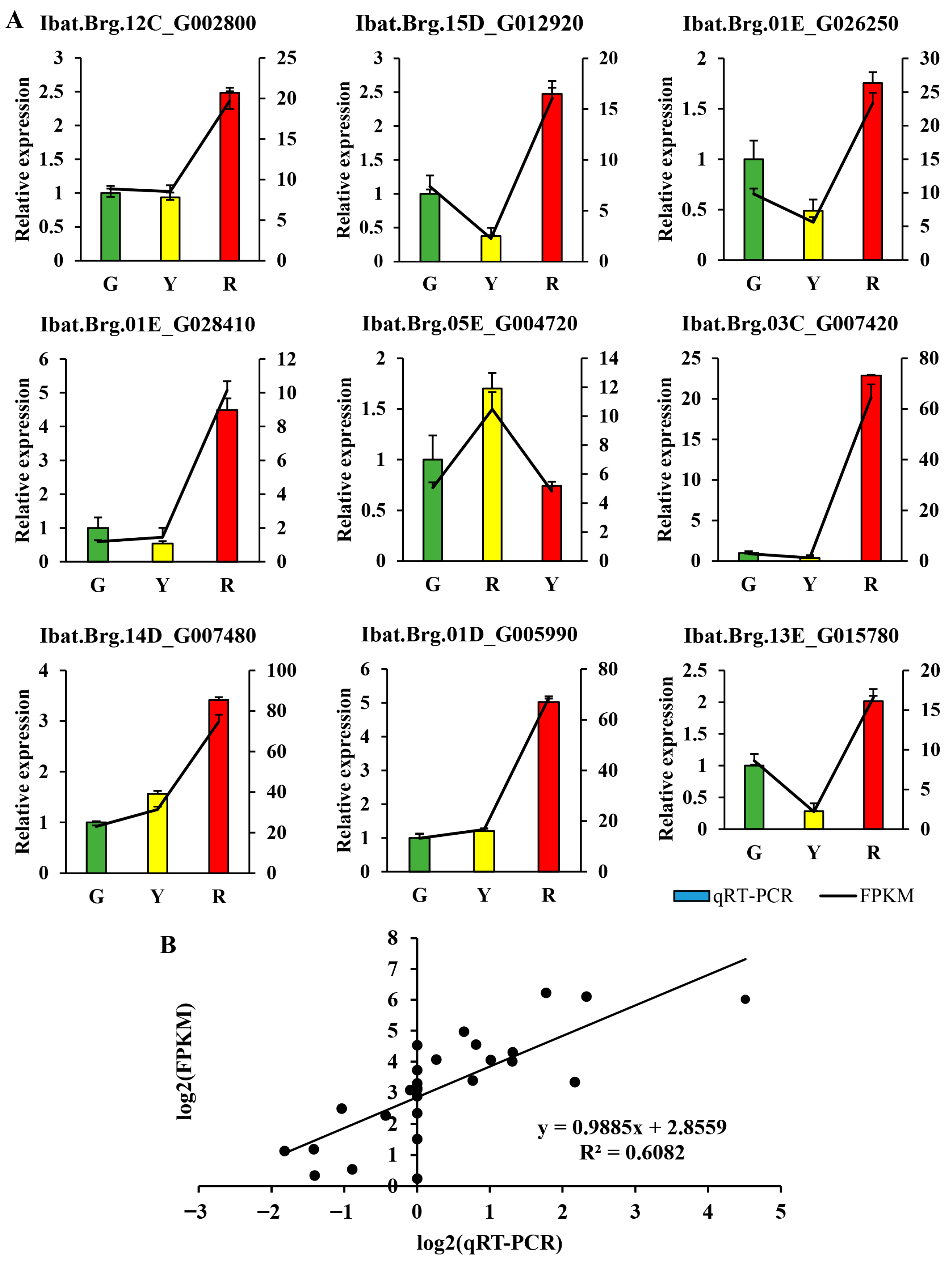 Horticulturae 11 01317 g006