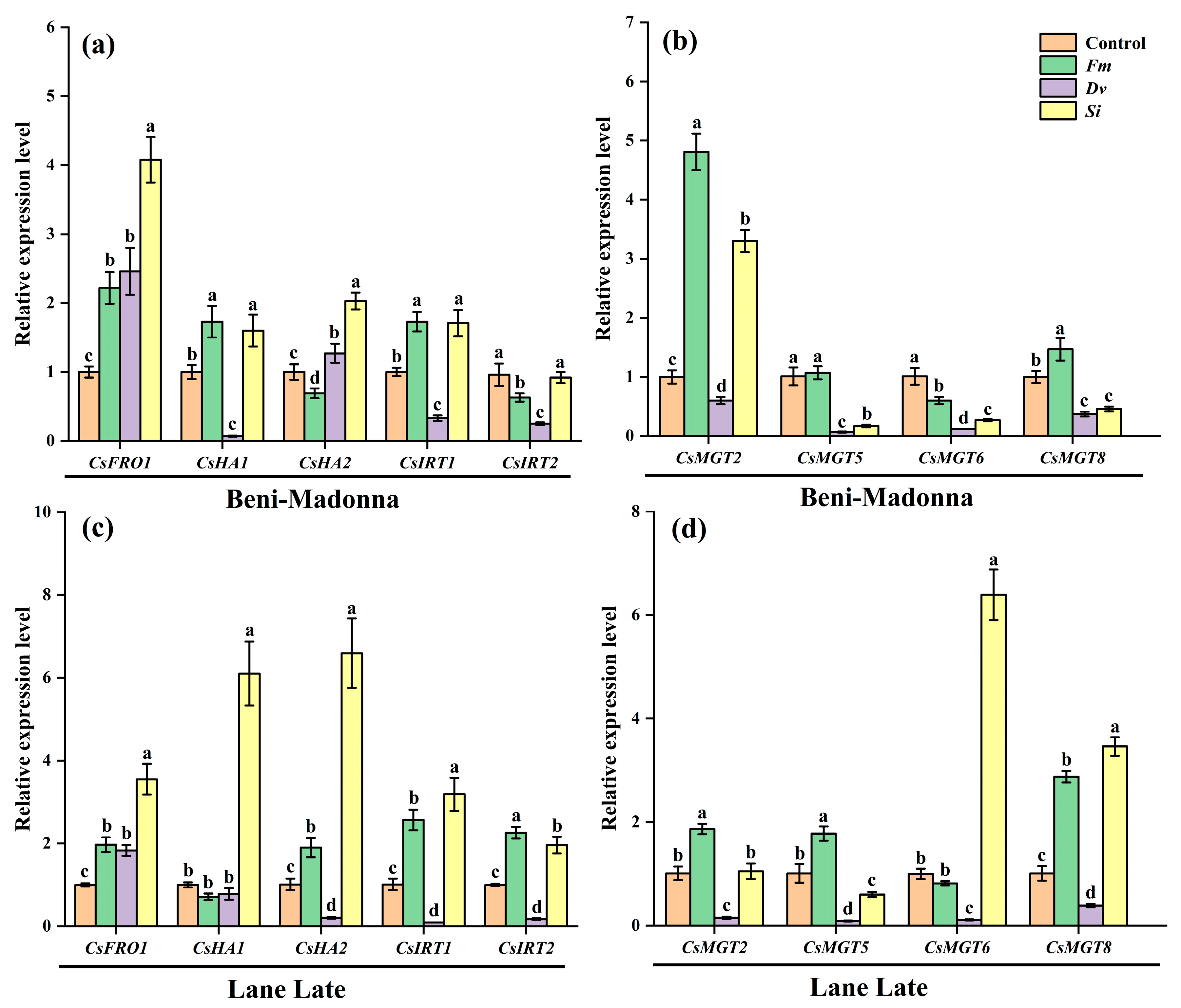 Horticulturae 11 01321 g005 Horticulturae 11 01321 g005