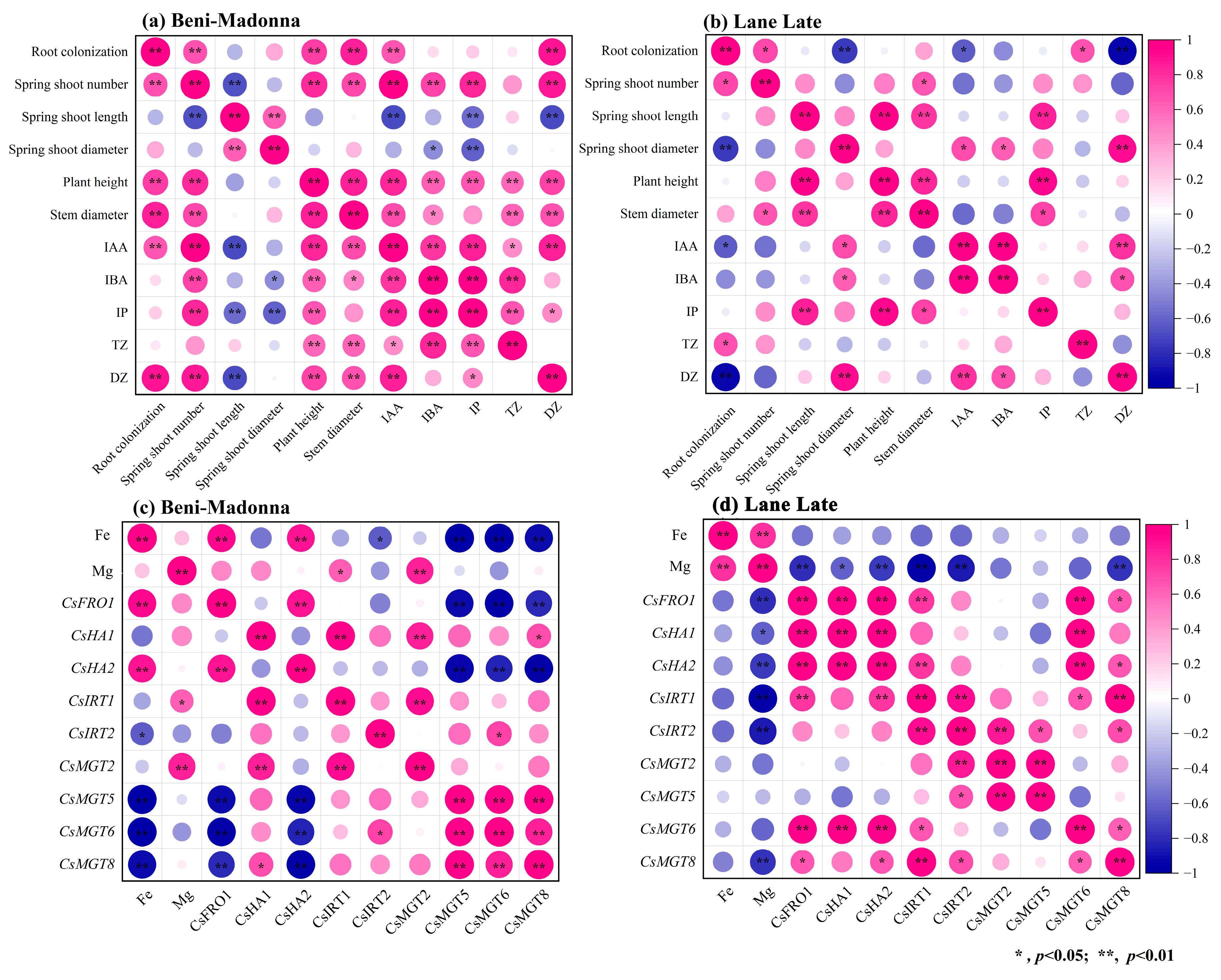 Horticulturae 11 01321 g006 Horticulturae 11 01321 g006