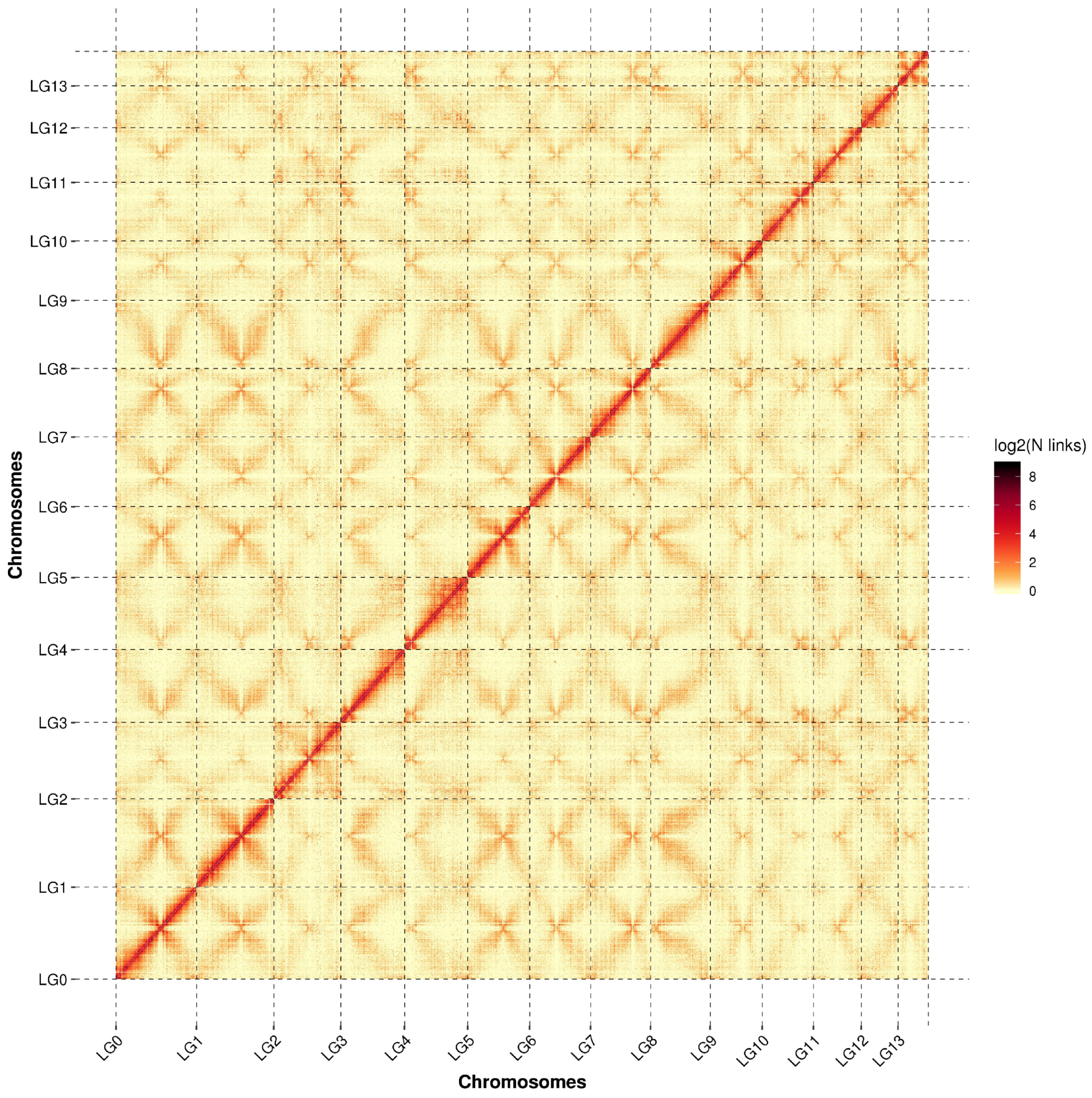 Horticulturae 11 01325 g002 Horticulturae 11 01325 g002