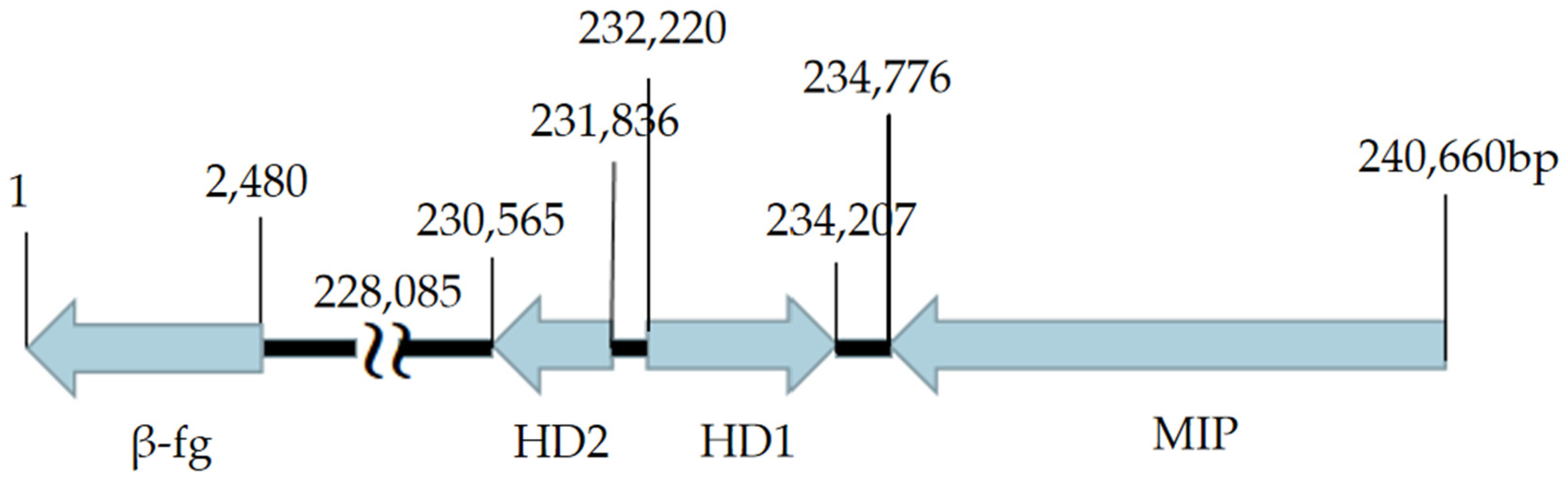 Horticulturae 11 01325 g003 Horticulturae 11 01325 g003