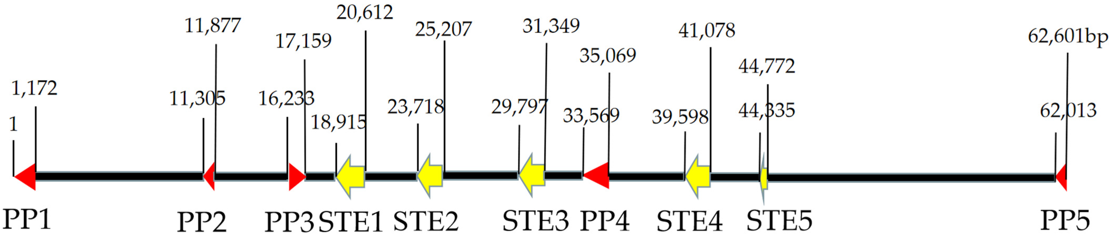 Horticulturae 11 01325 g005 Horticulturae 11 01325 g005