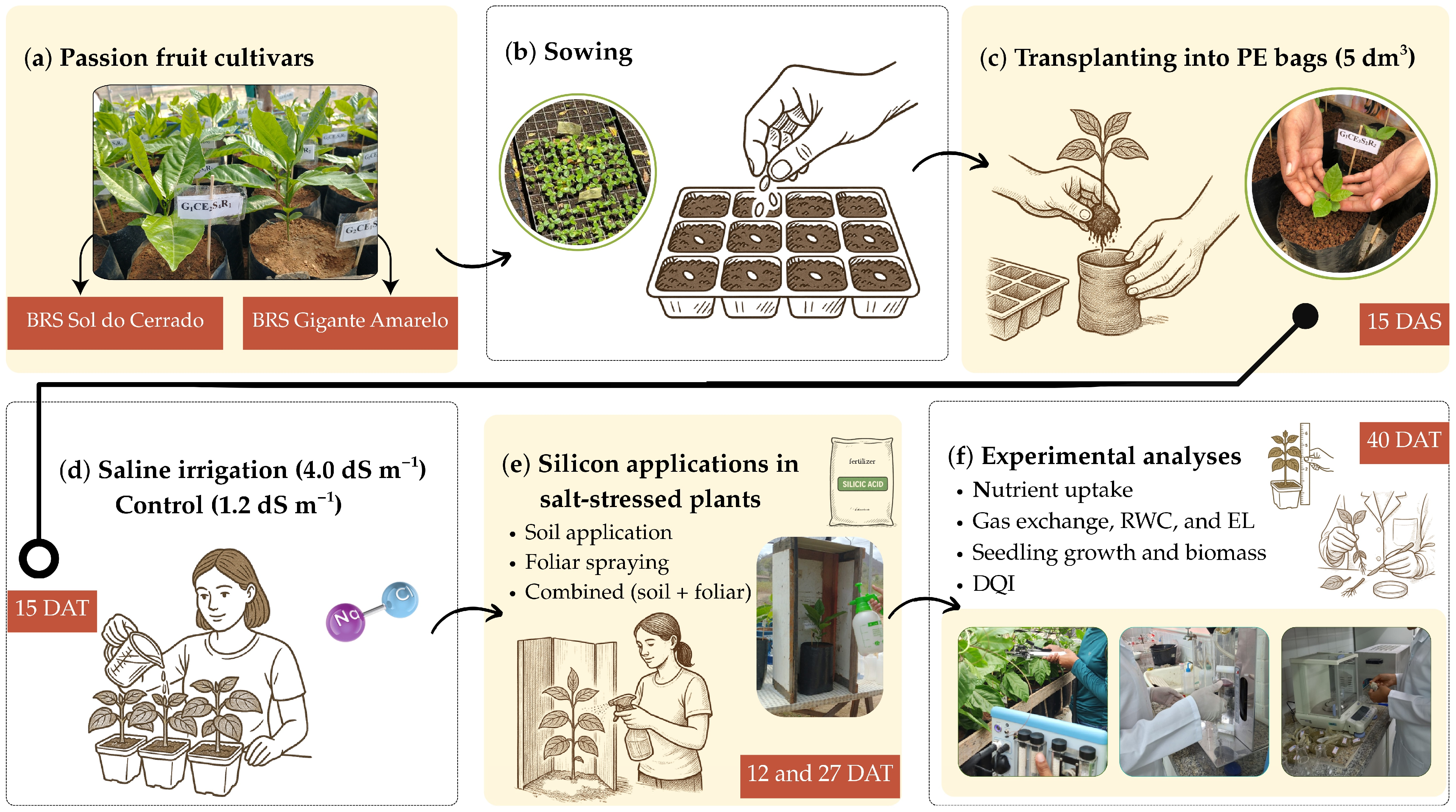 Horticulturae 11 01396 g002