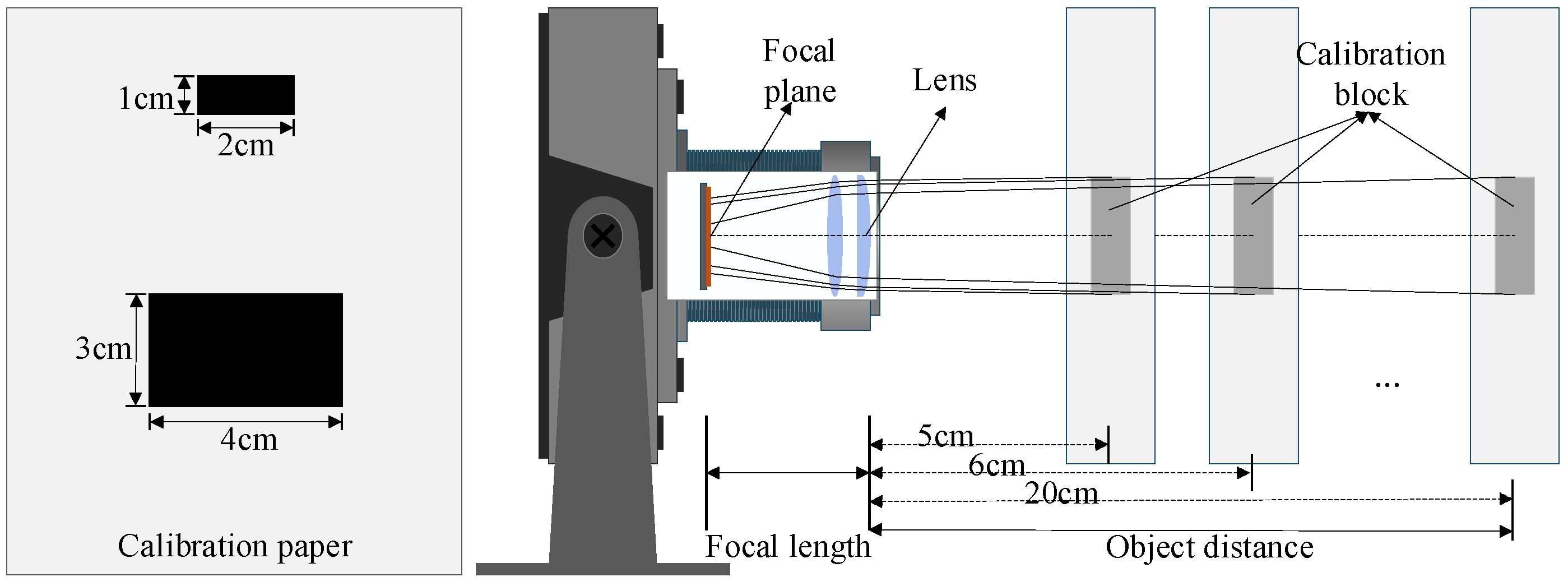 Horticulturae 11 01406 g007