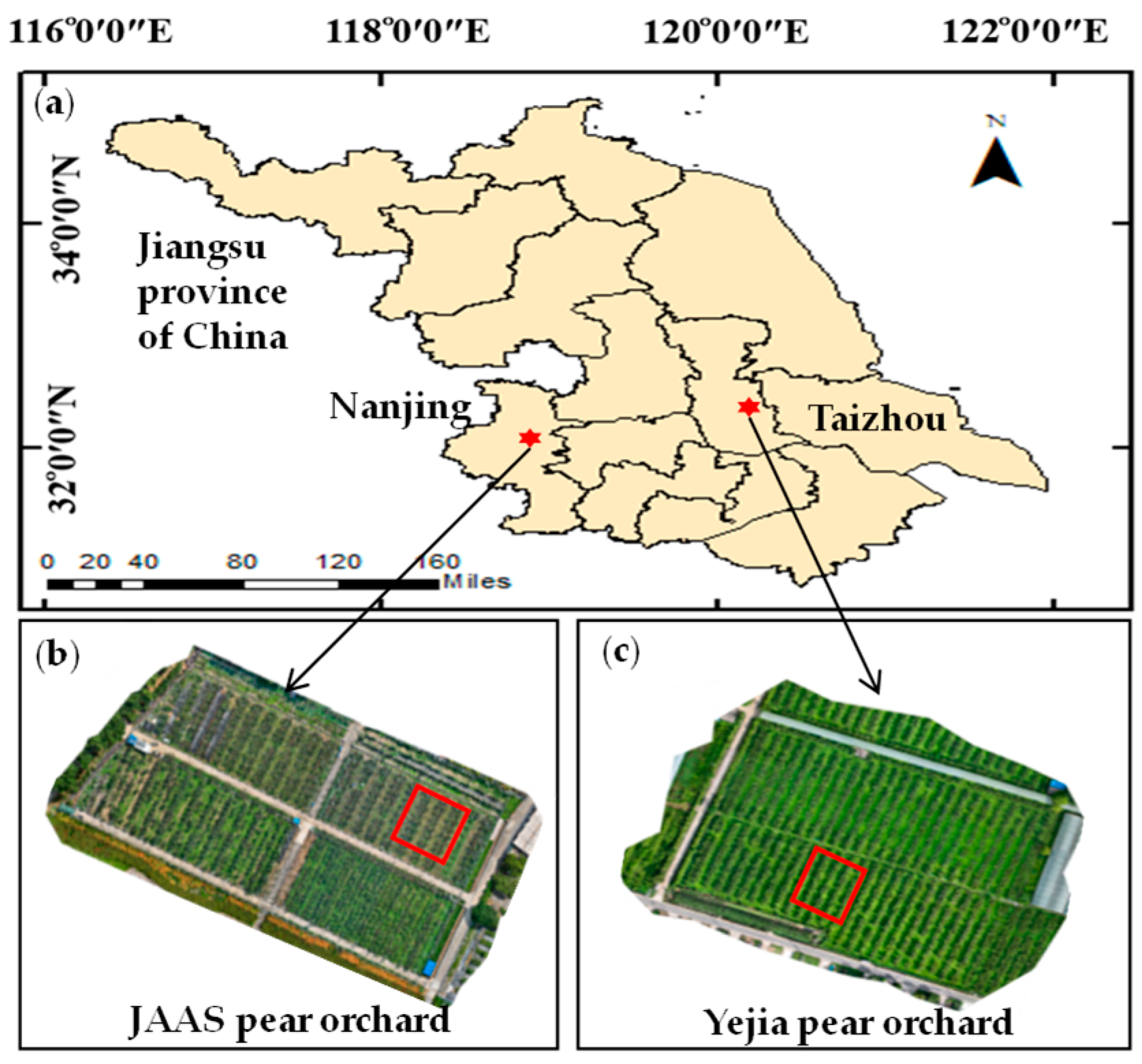 Horticulturae 11 01419 g001