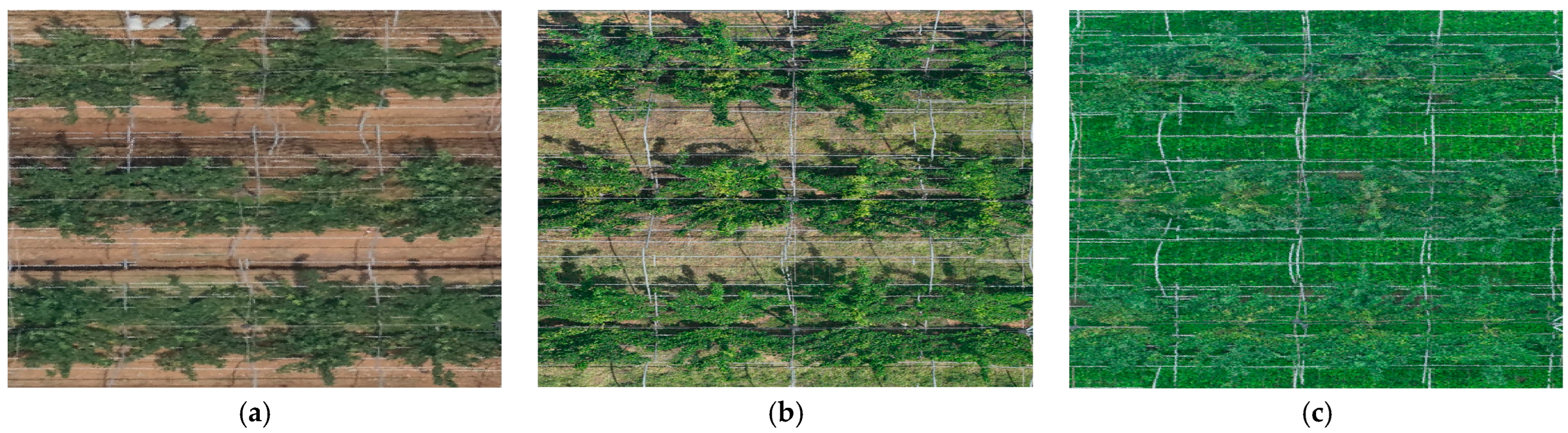 Horticulturae 11 01419 g002