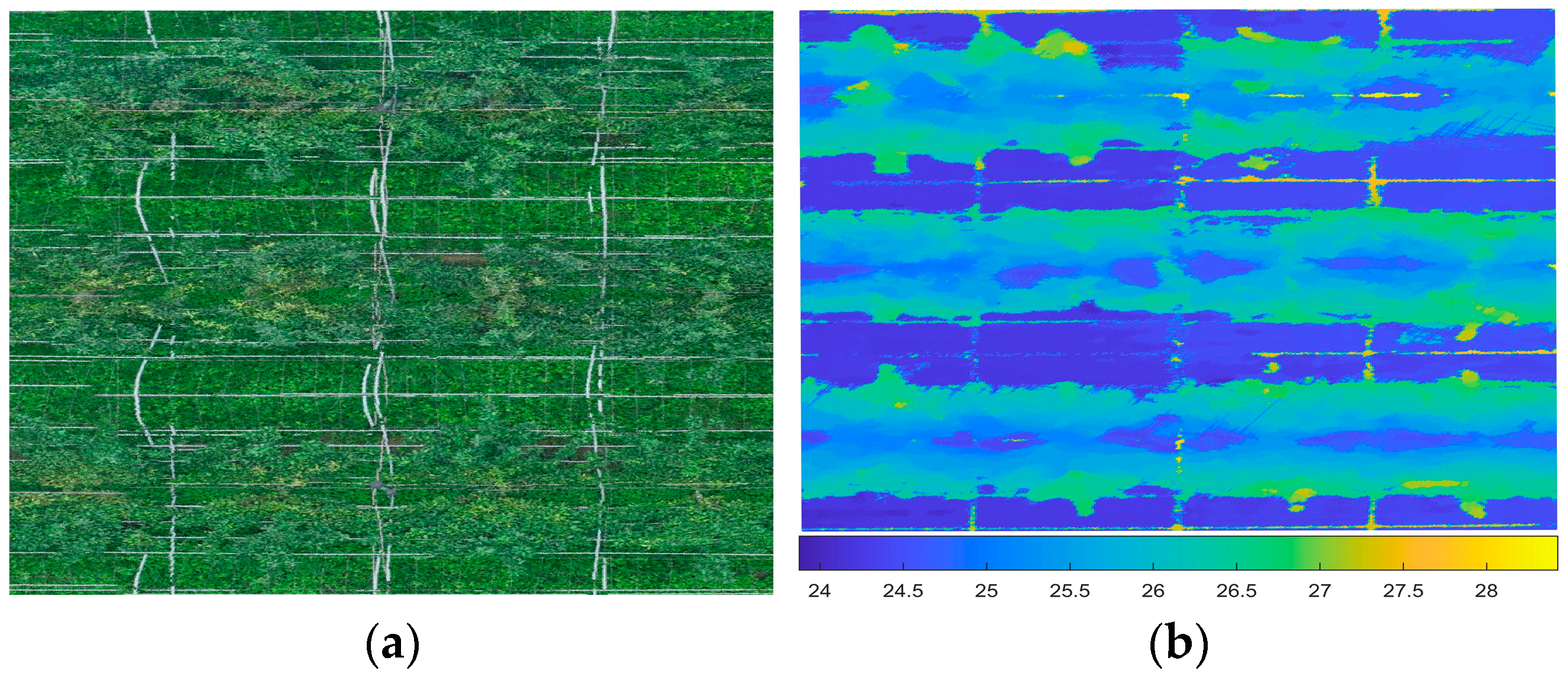 Horticulturae 11 01419 g003