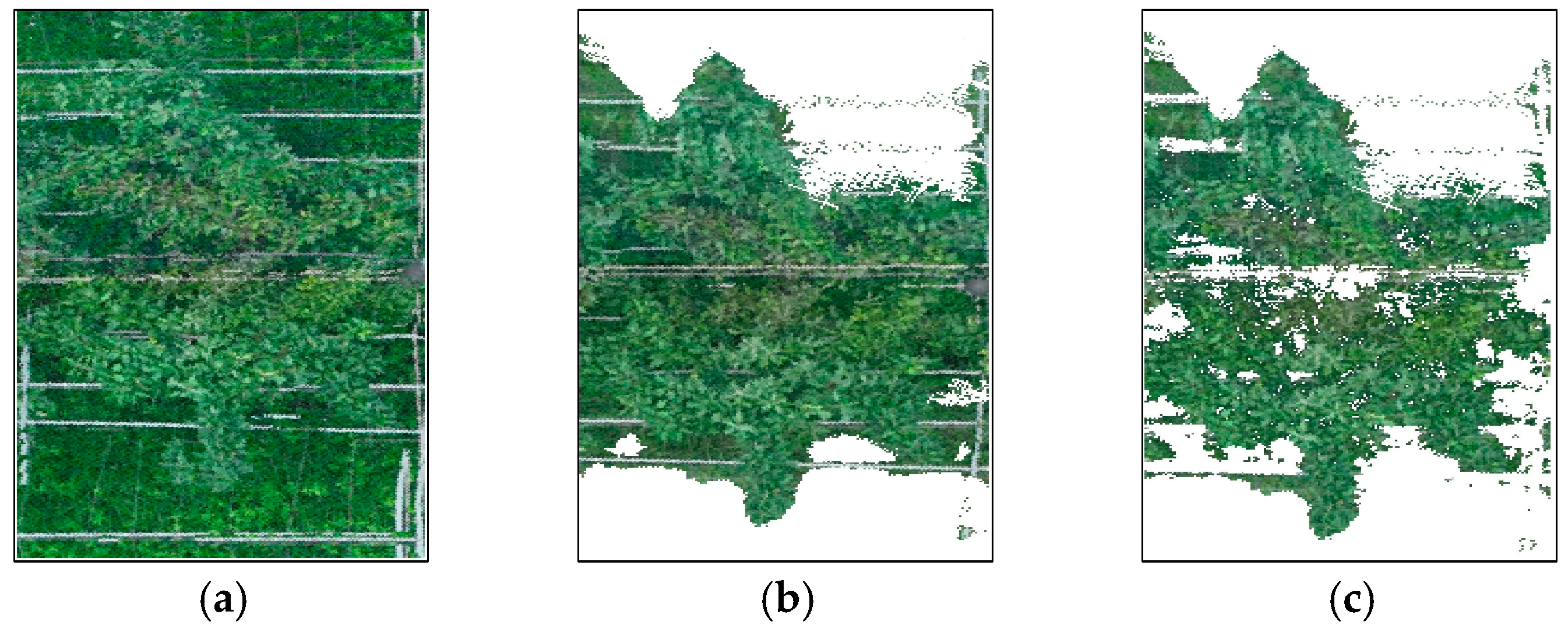 Horticulturae 11 01419 g006
