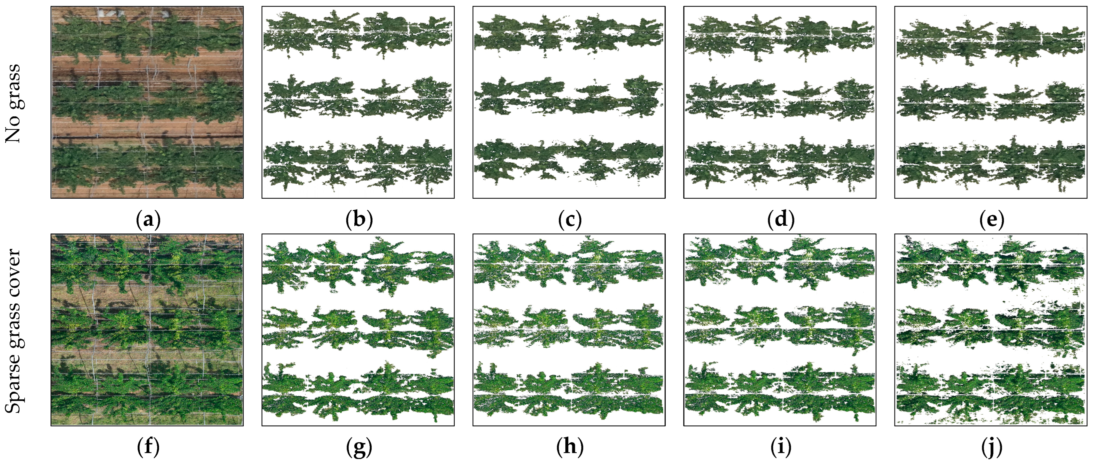 Horticulturae 11 01419 g007a