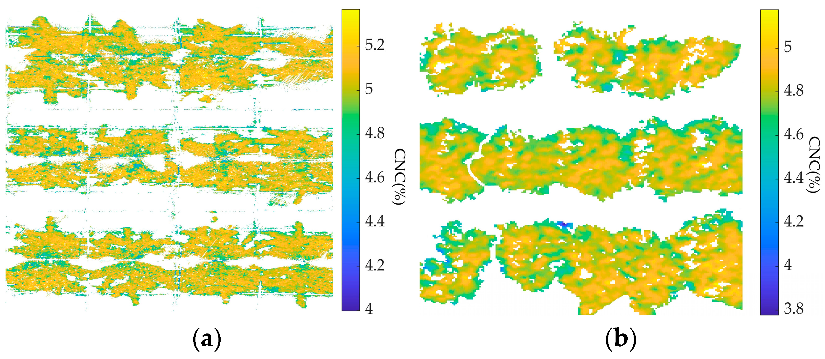 Horticulturae 11 01419 g013