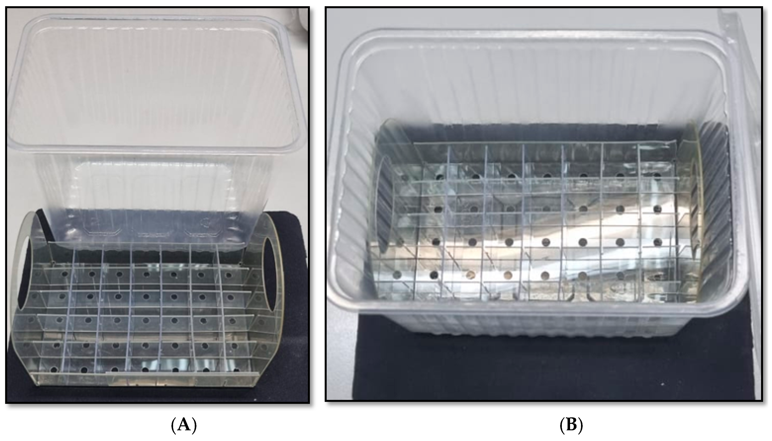 Horticulturae 11 01422 g002