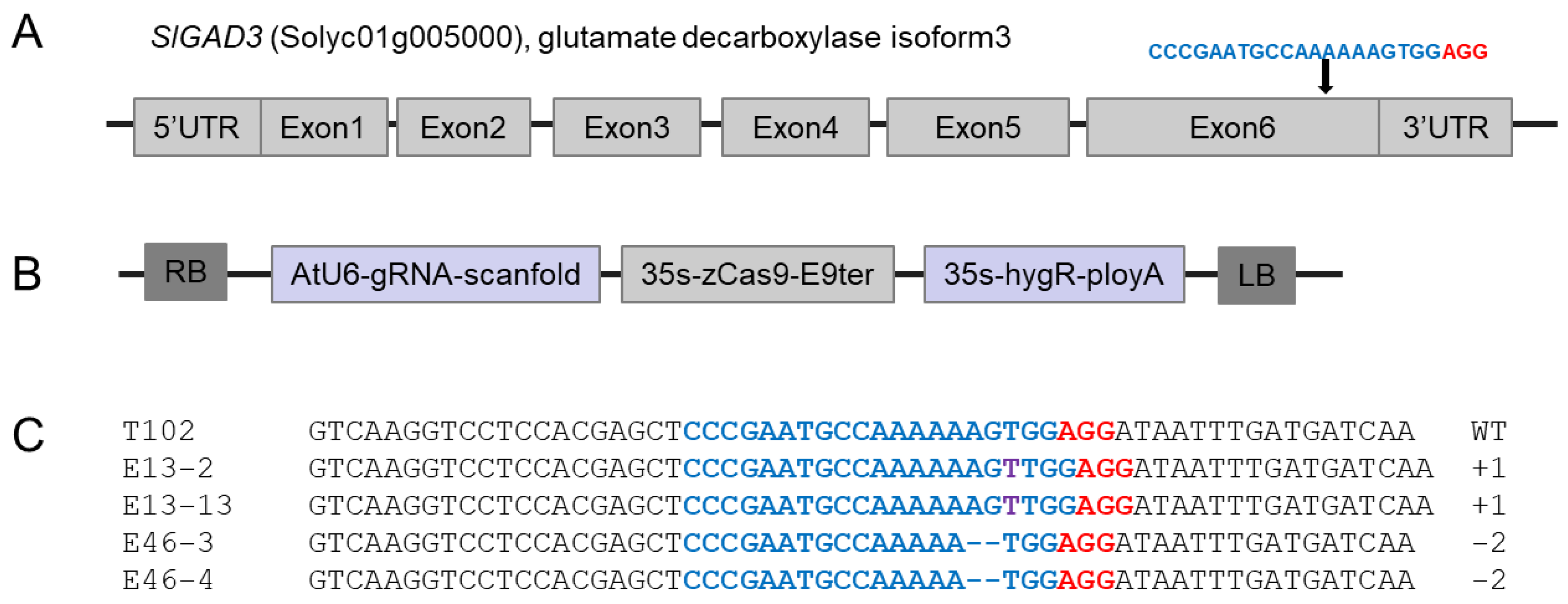 Horticulturae 11 01423 g001
