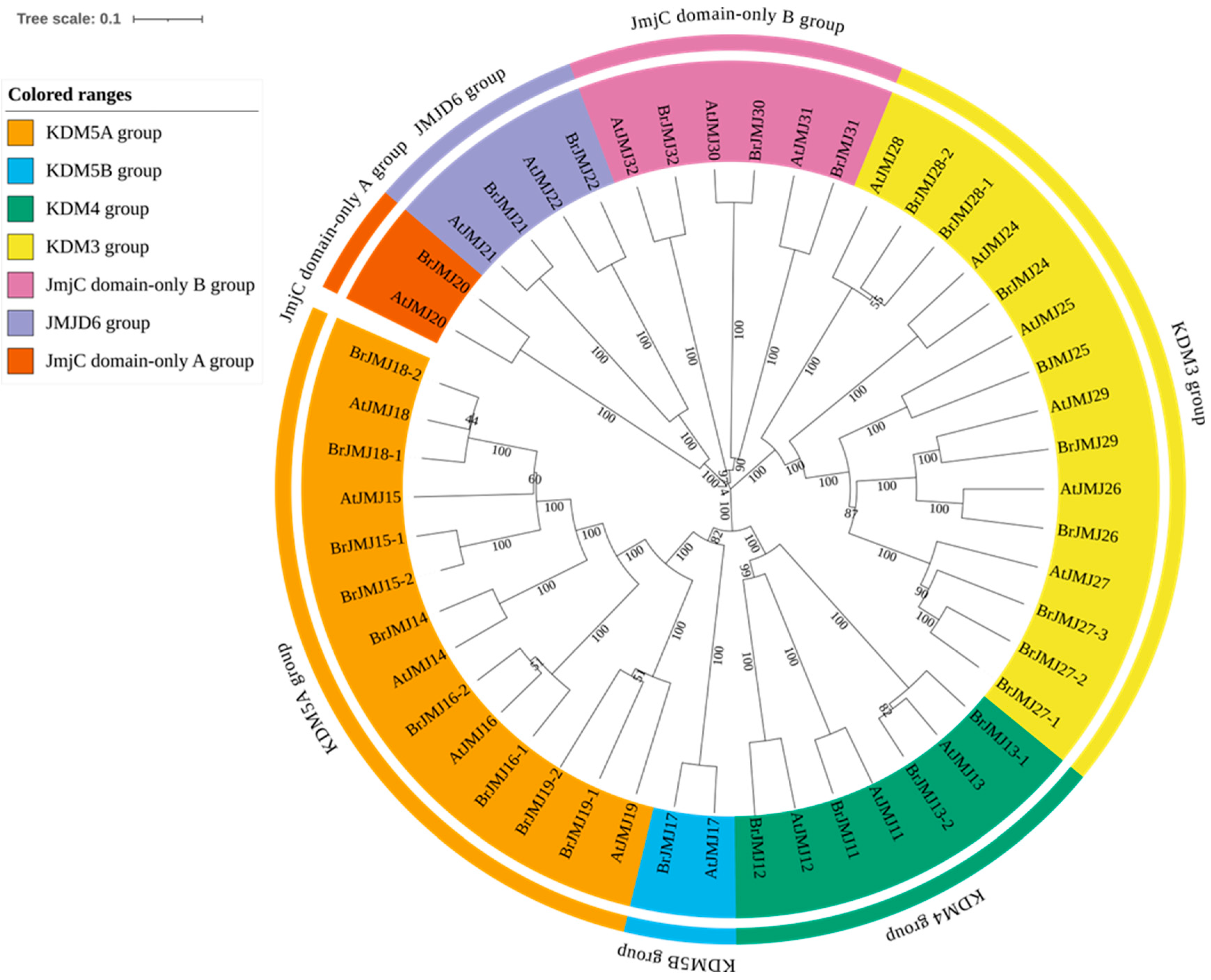 Horticulturae 11 01424 g001 Horticulturae 11 01424 g001