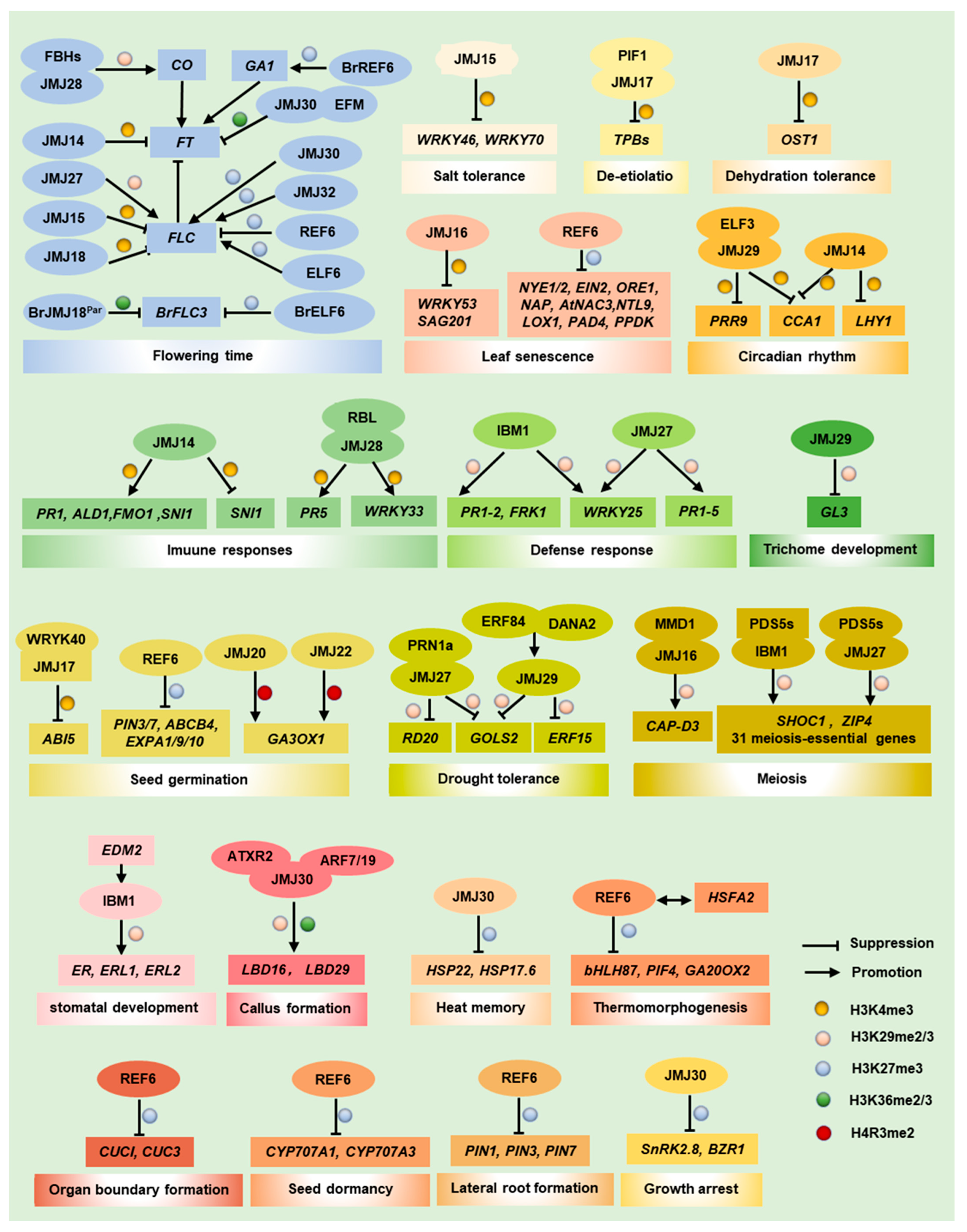 Horticulturae 11 01424 g002 Horticulturae 11 01424 g002