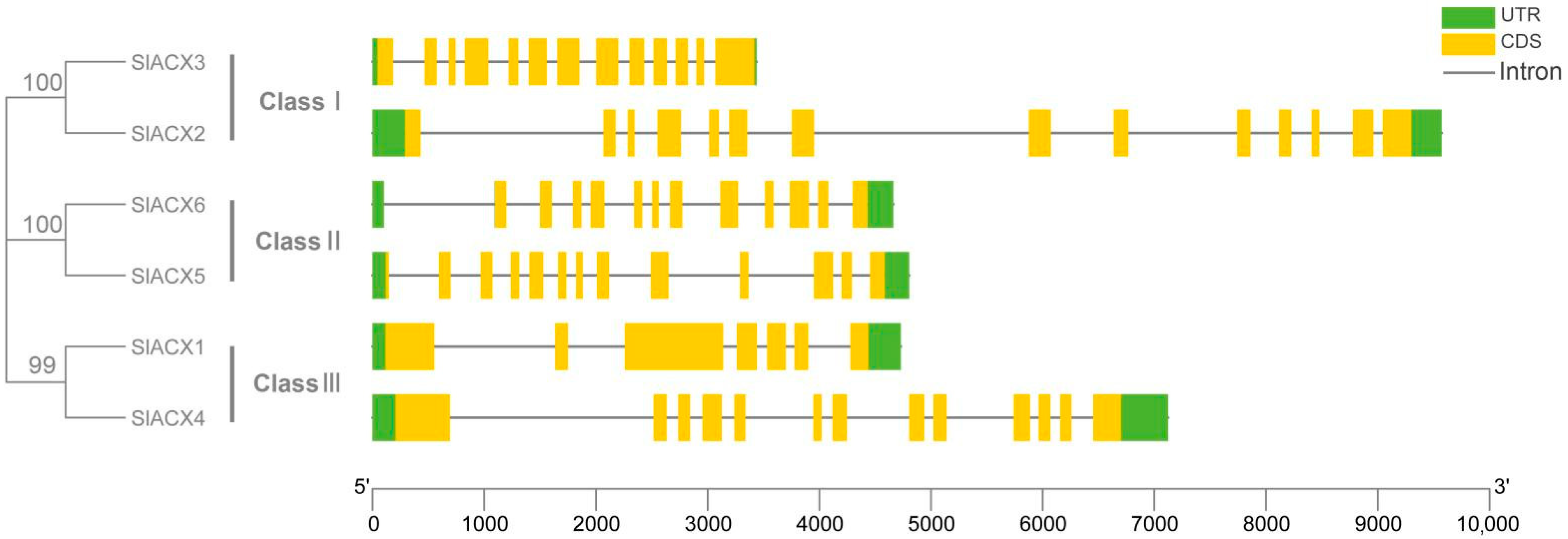 Horticulturae 11 01426 g001