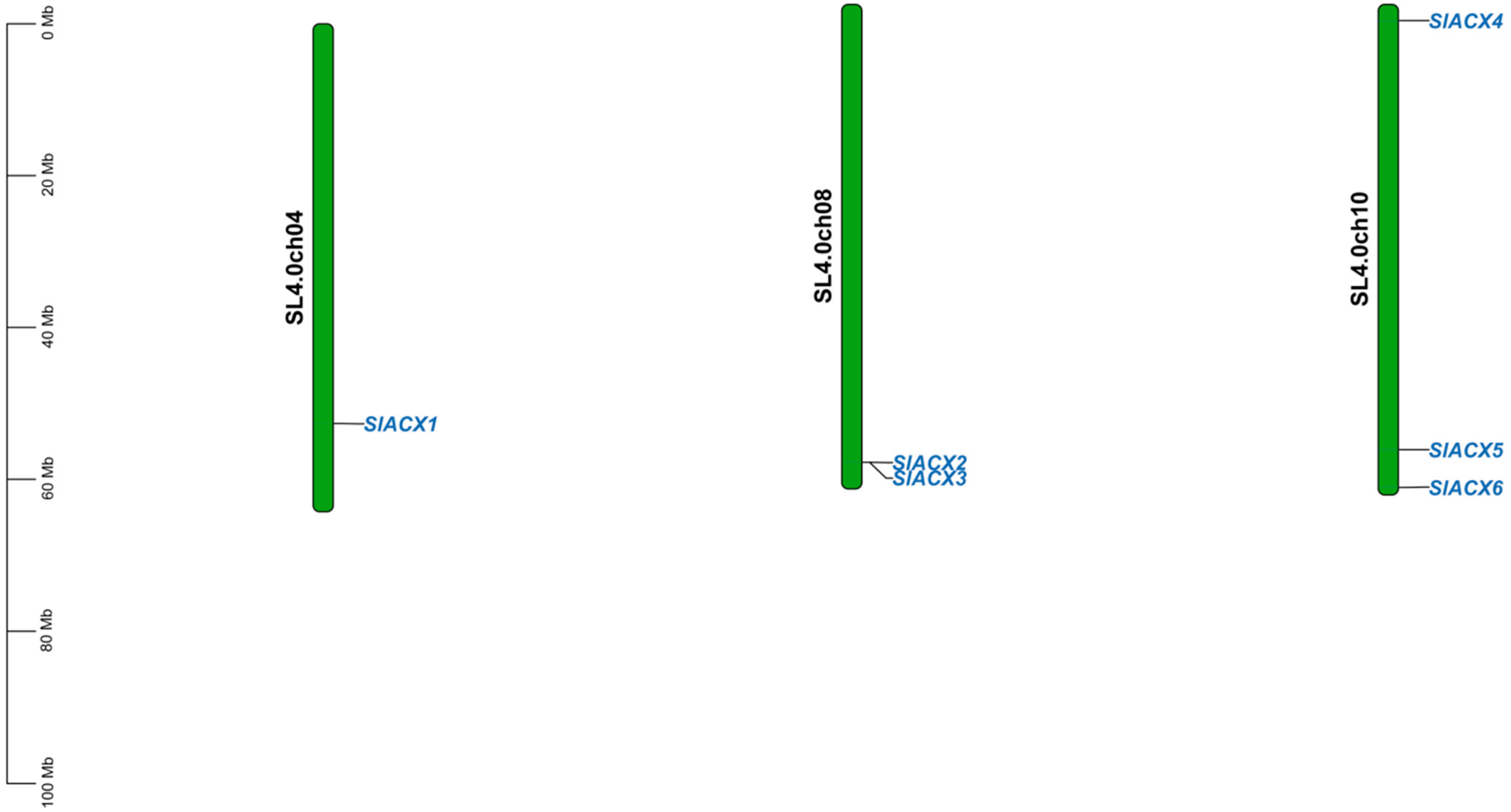 Horticulturae 11 01426 g002