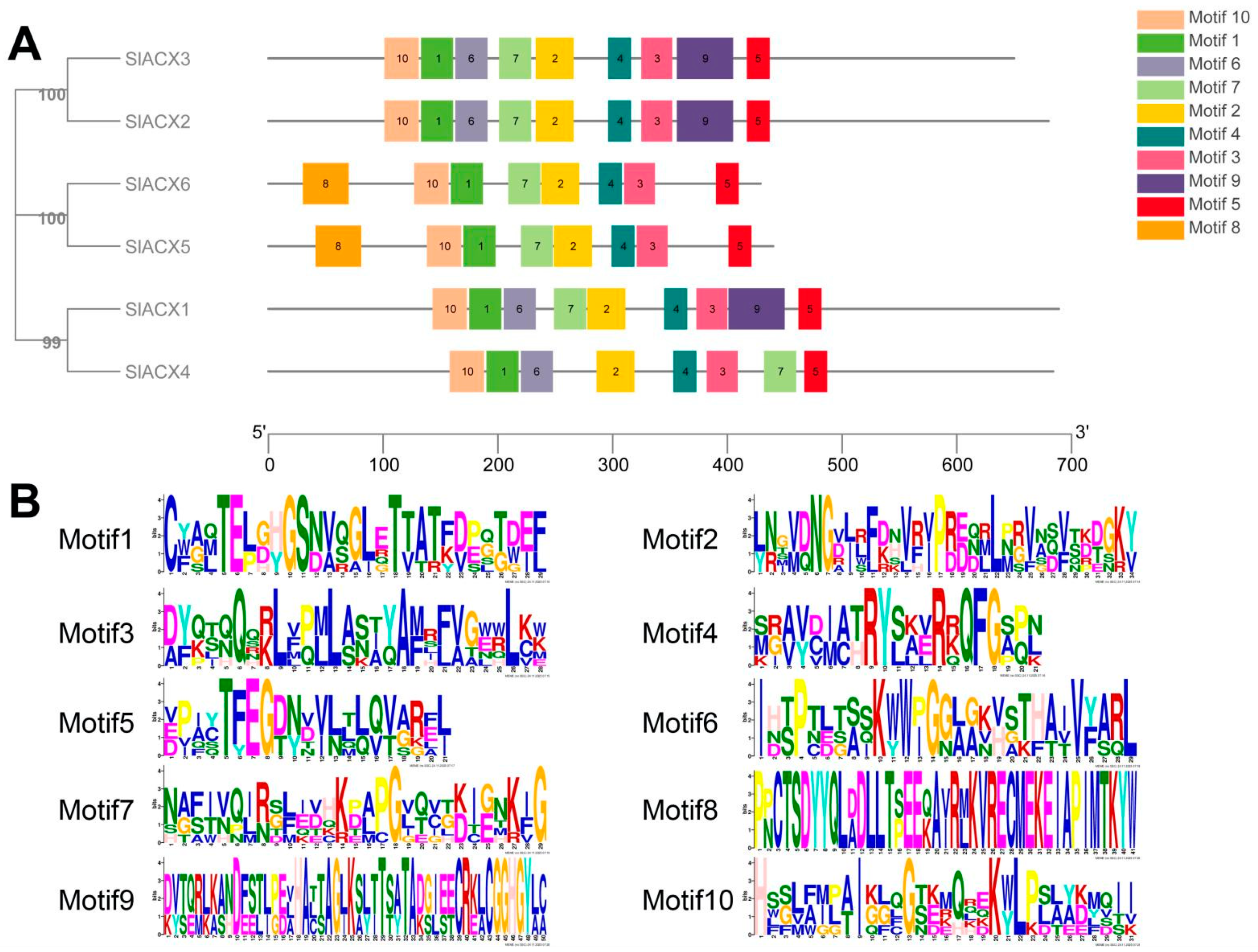 Horticulturae 11 01426 g003