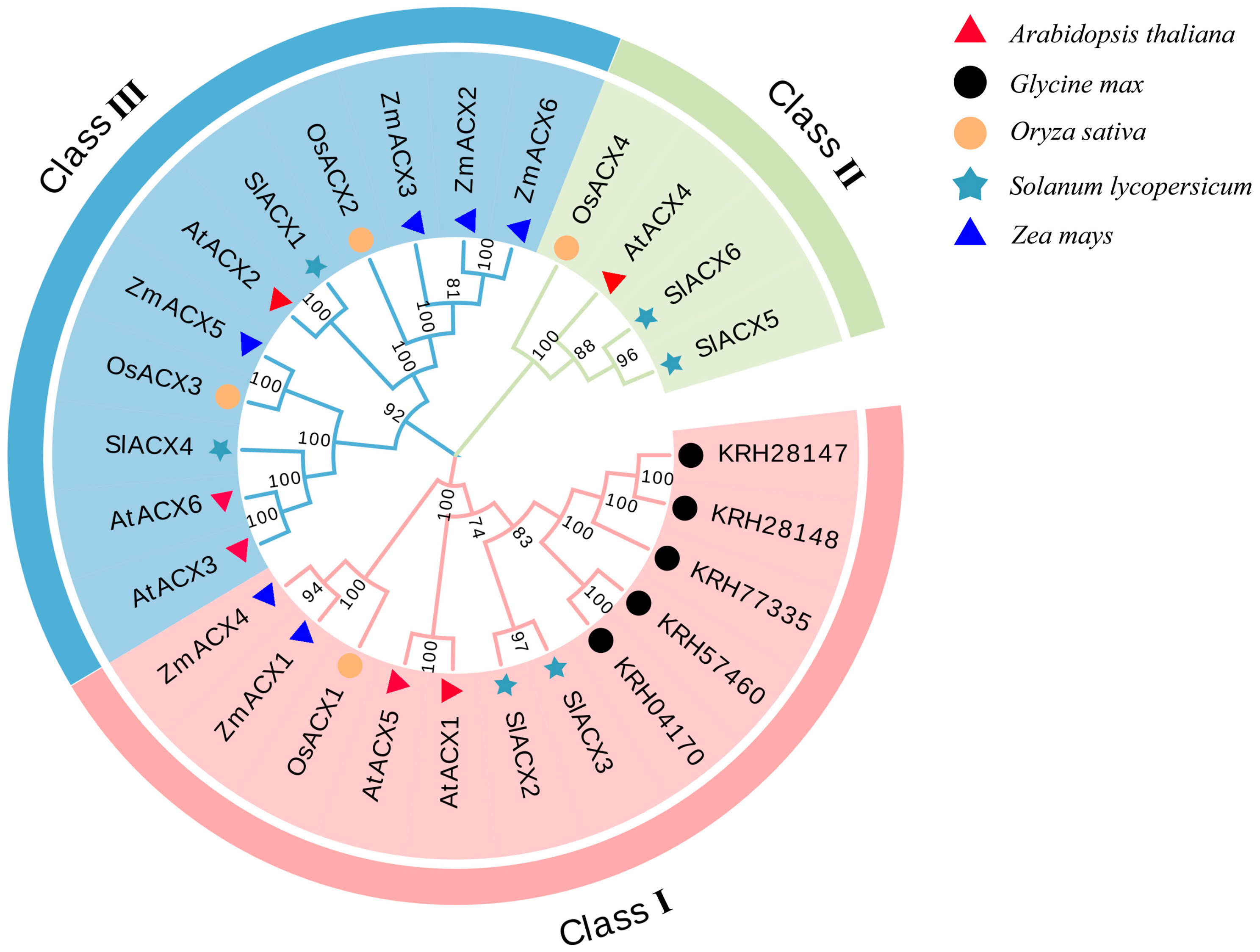 Horticulturae 11 01426 g004