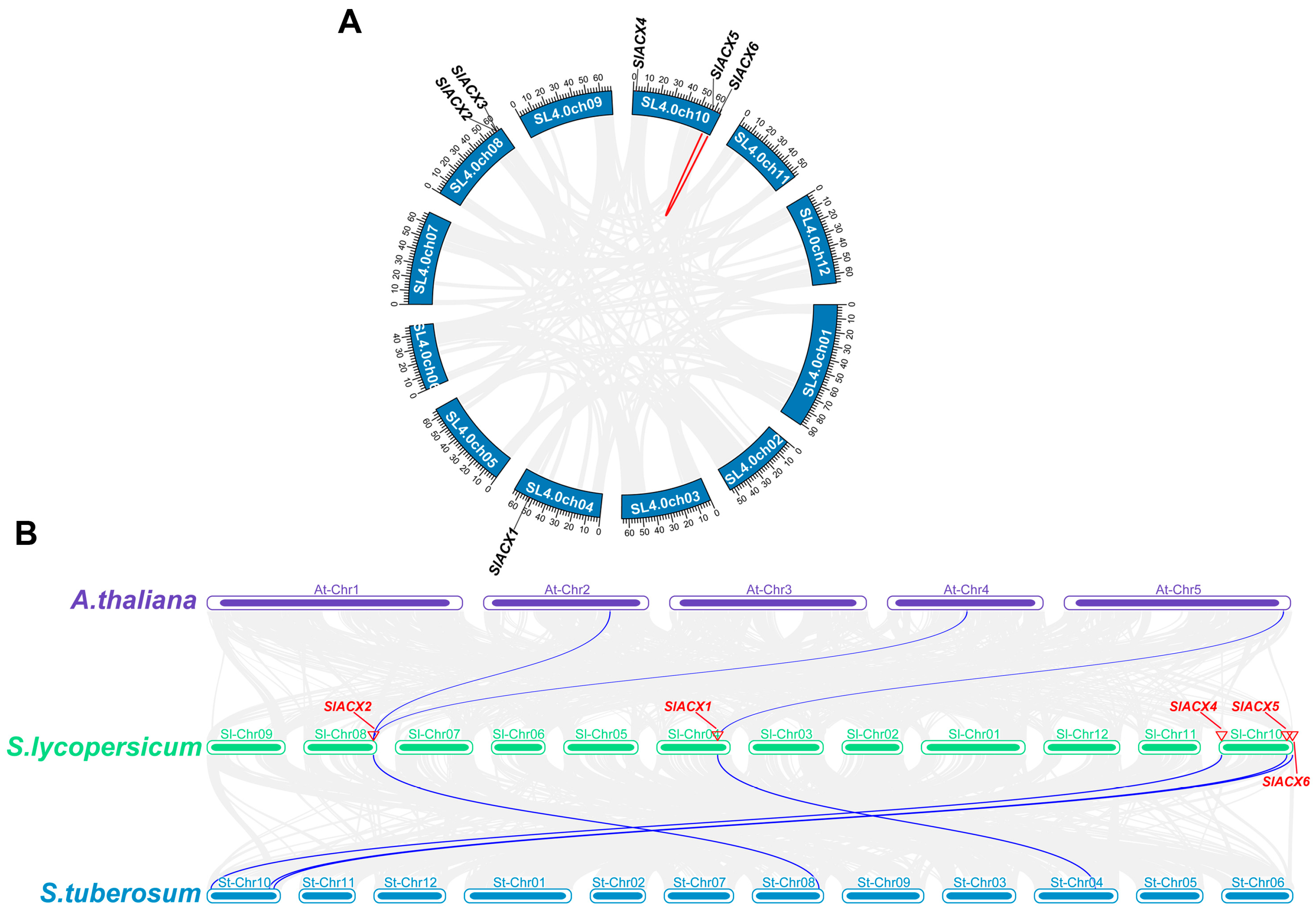Horticulturae 11 01426 g005