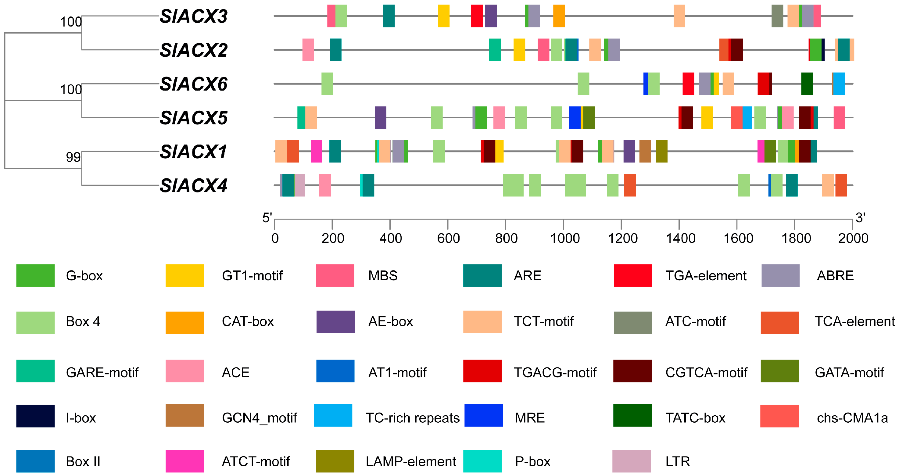 Horticulturae 11 01426 g006