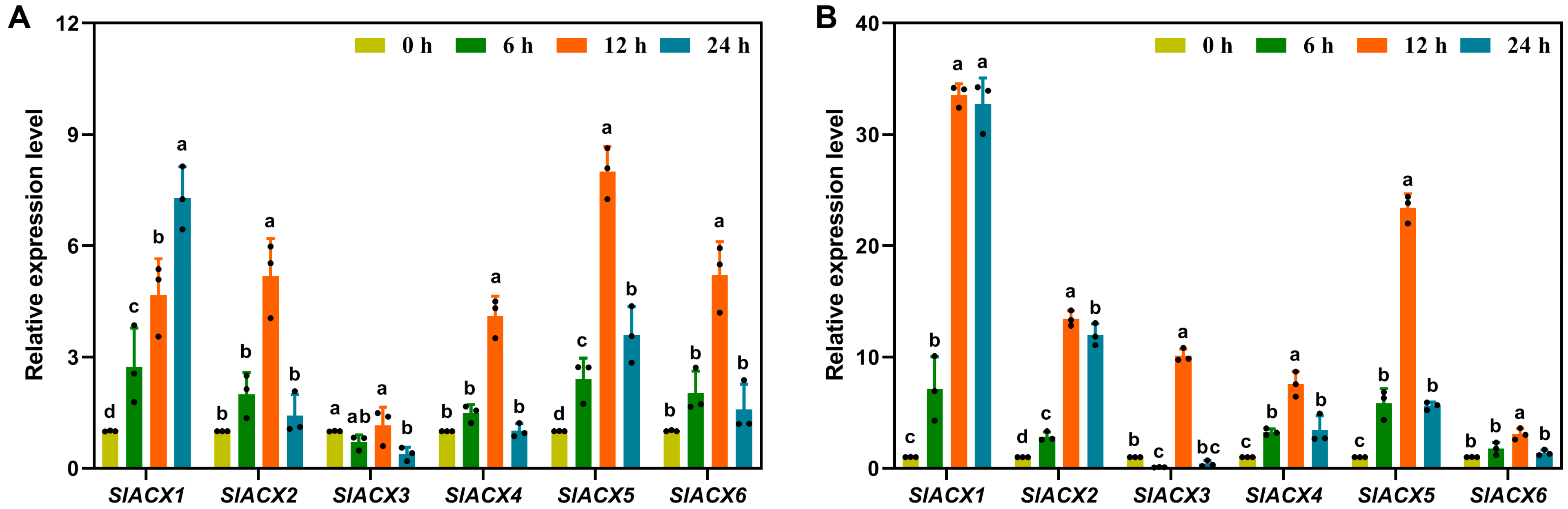 Horticulturae 11 01426 g009