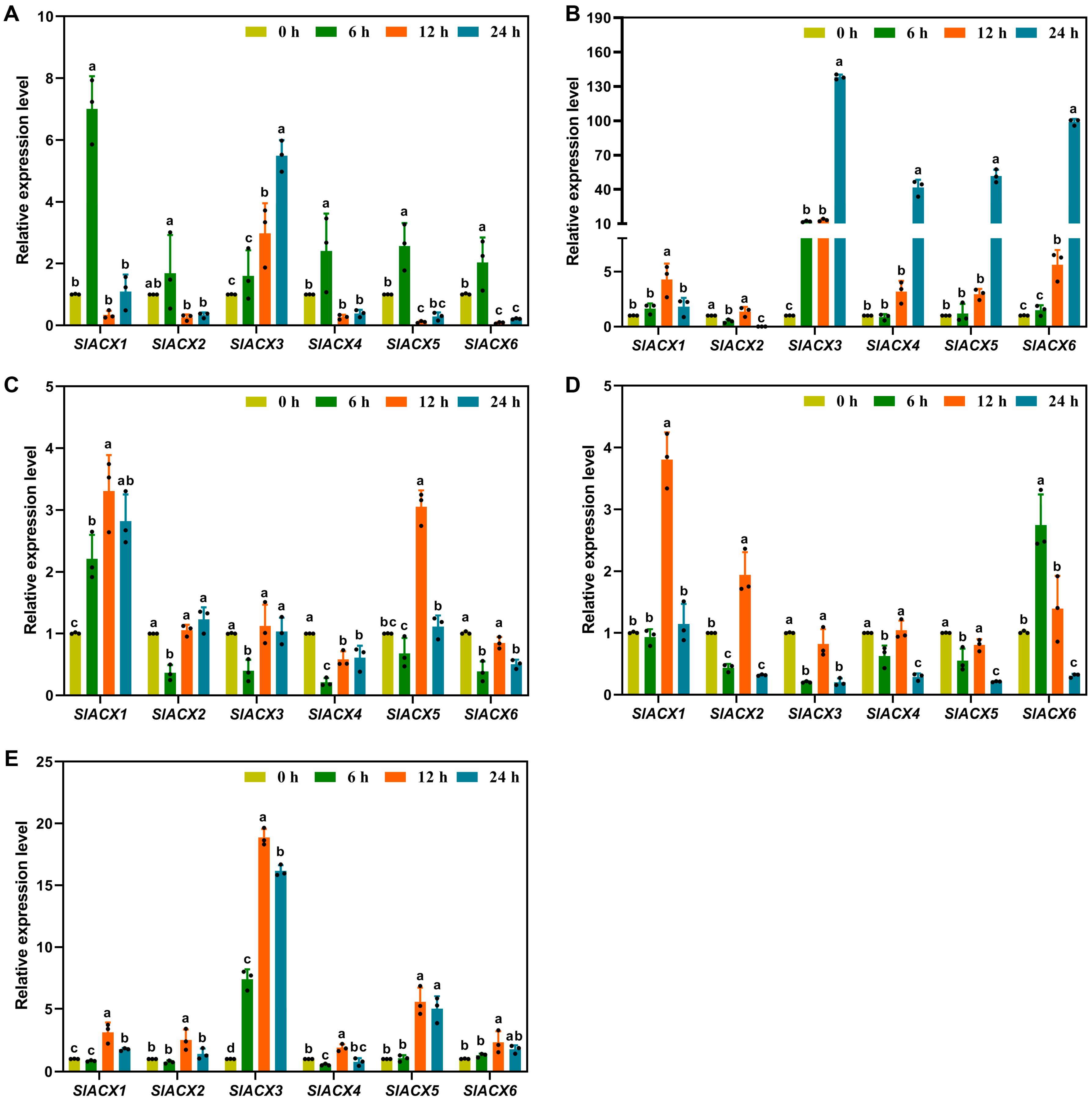 Horticulturae 11 01426 g011