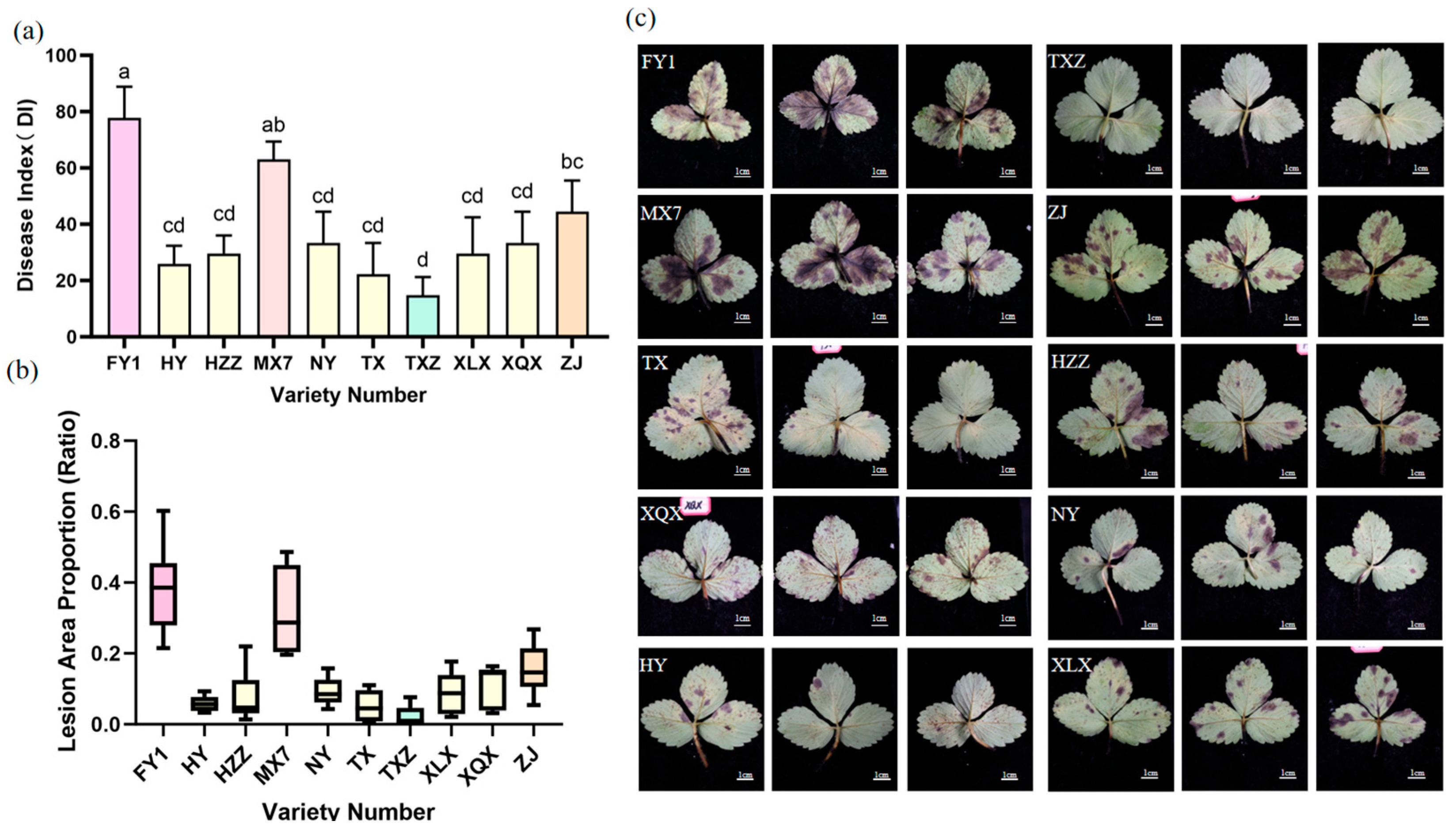 Horticulturae 11 01427 g002 Horticulturae 11 01427 g002