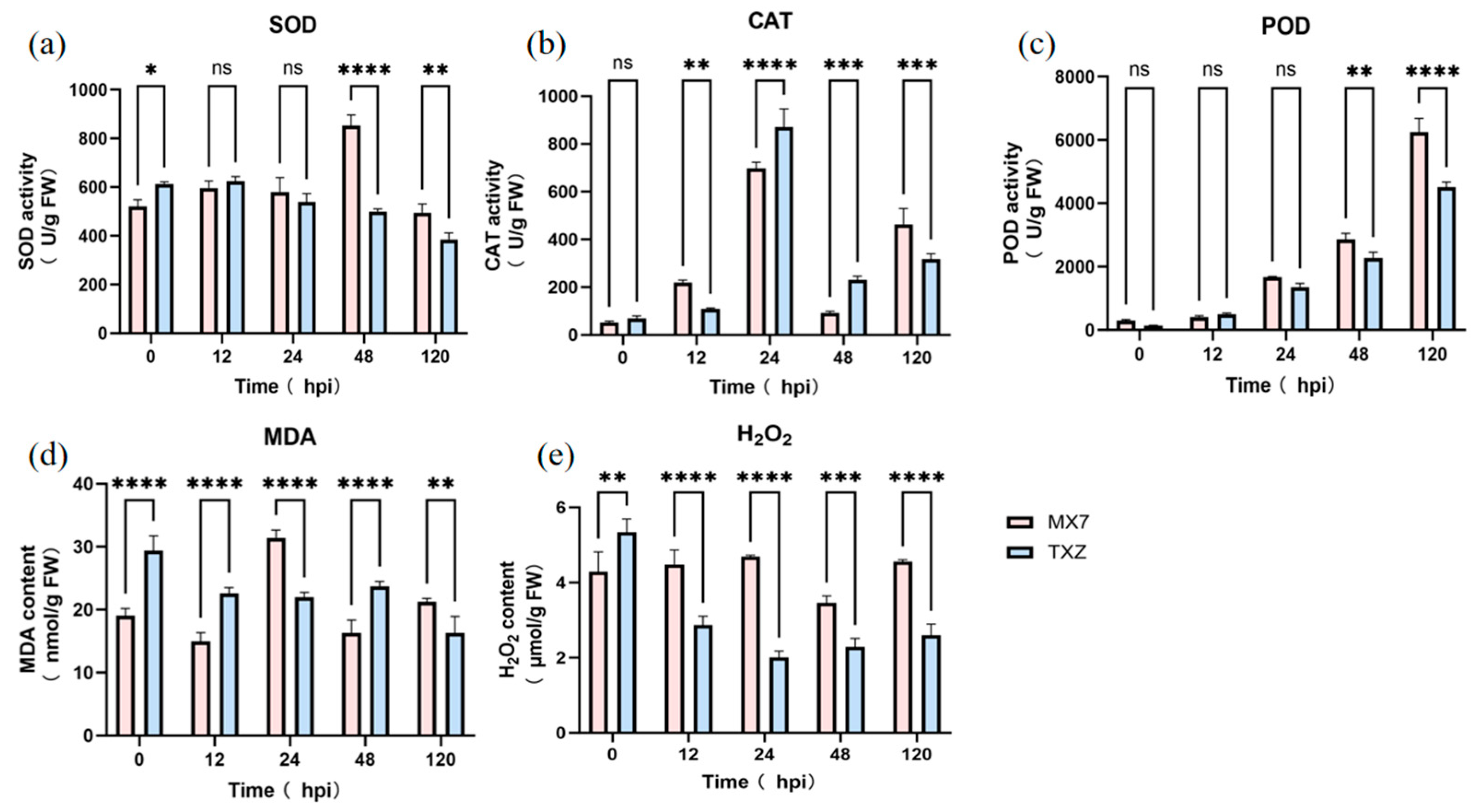Horticulturae 11 01427 g004 Horticulturae 11 01427 g004