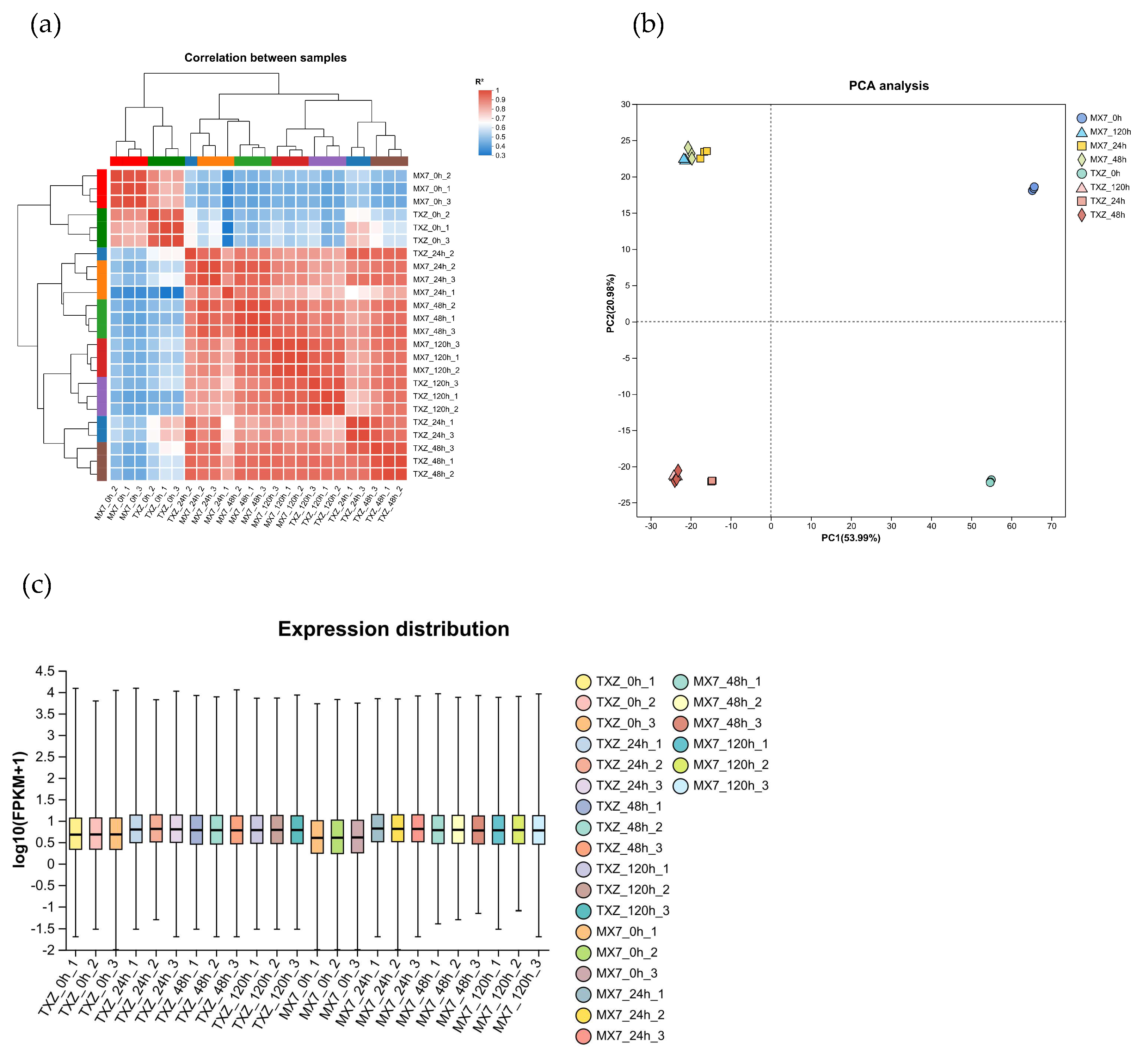 Horticulturae 11 01427 g005 Horticulturae 11 01427 g005