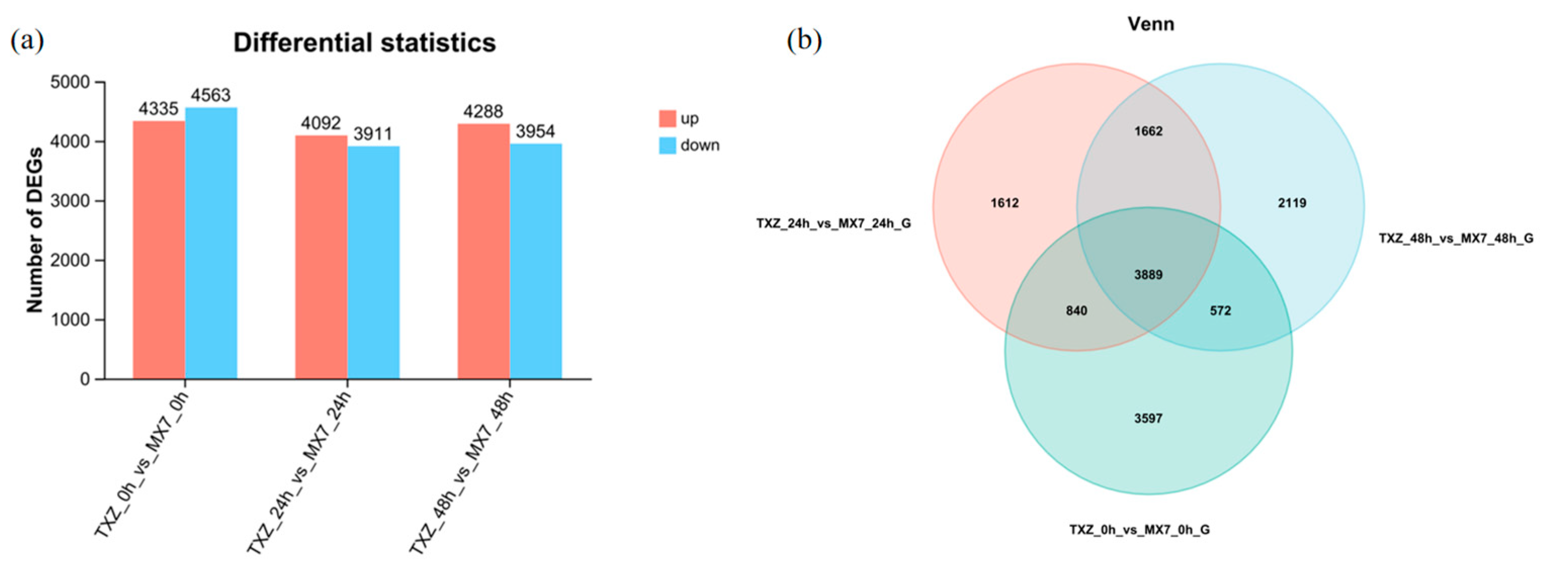 Horticulturae 11 01427 g006 Horticulturae 11 01427 g006