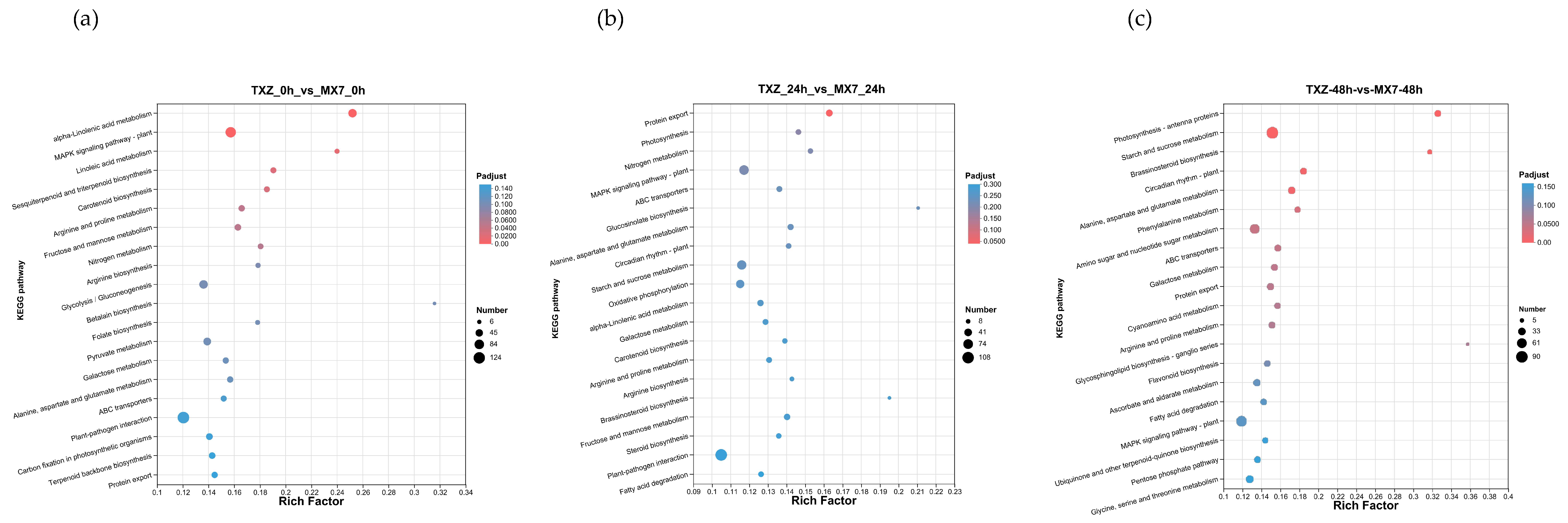 Horticulturae 11 01427 g008 Horticulturae 11 01427 g008