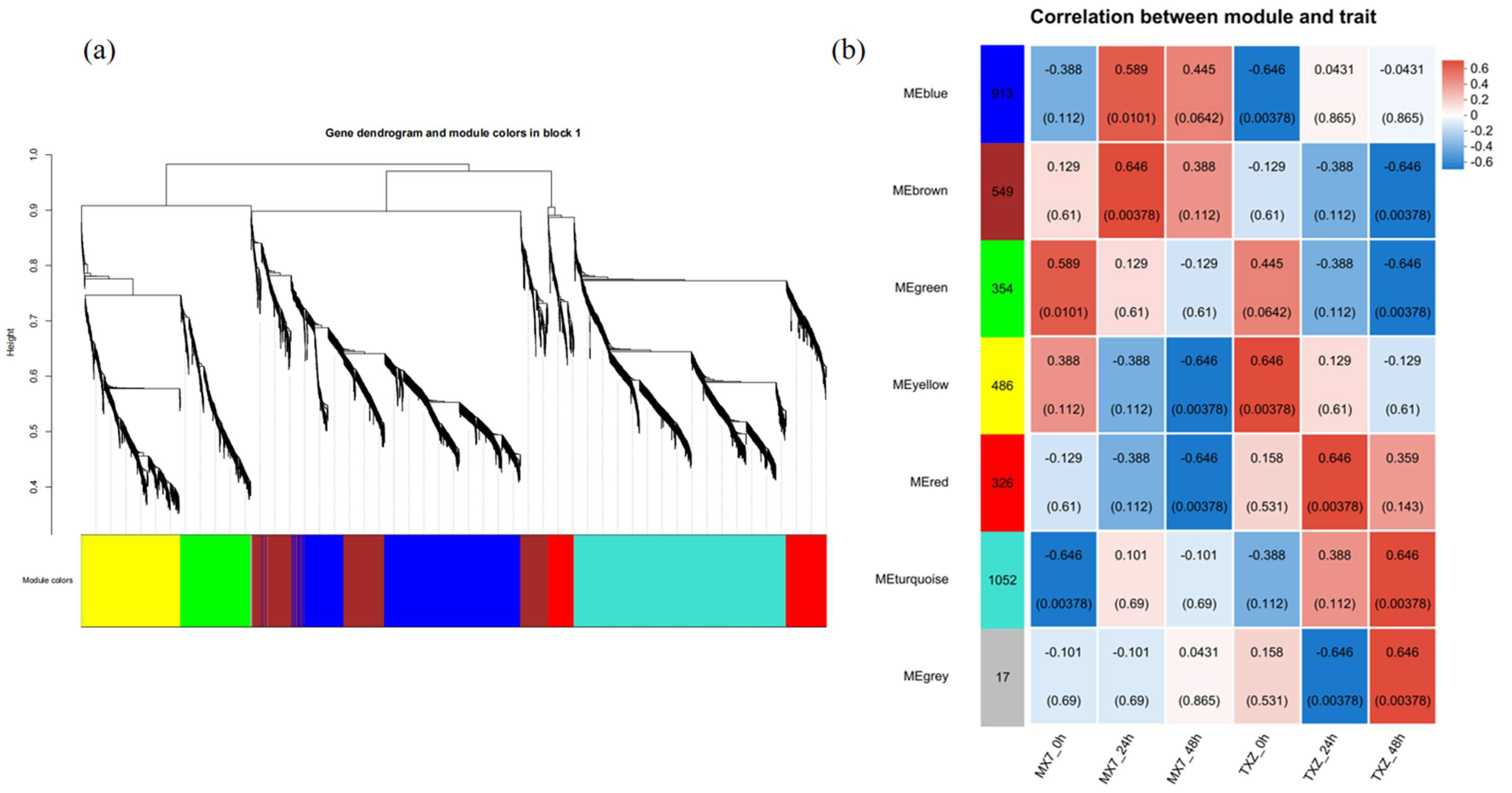 Horticulturae 11 01427 g009 Horticulturae 11 01427 g009