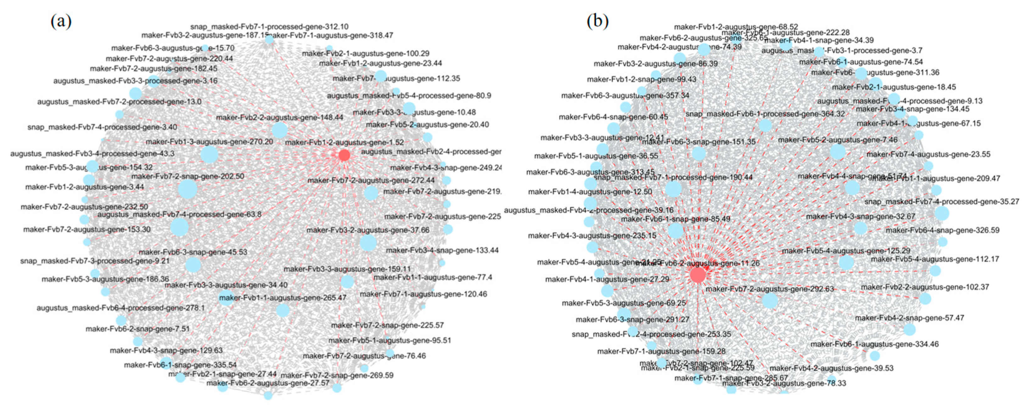 Horticulturae 11 01427 g010 Horticulturae 11 01427 g010
