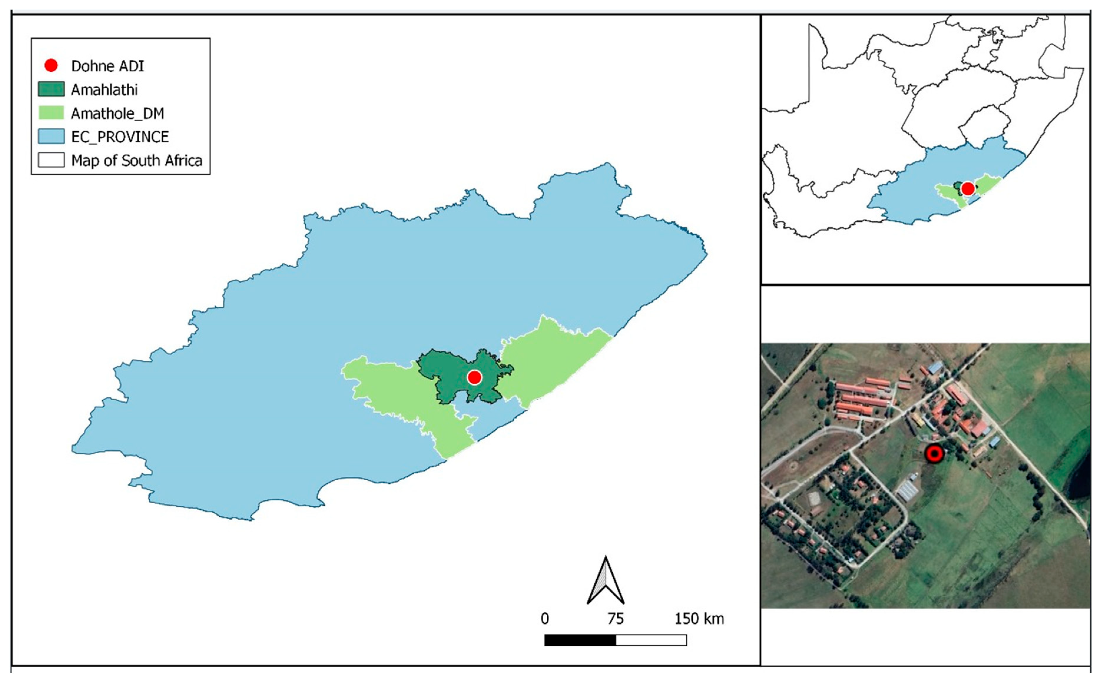 Horticulturae 11 01428 g001 Horticulturae 11 01428 g001