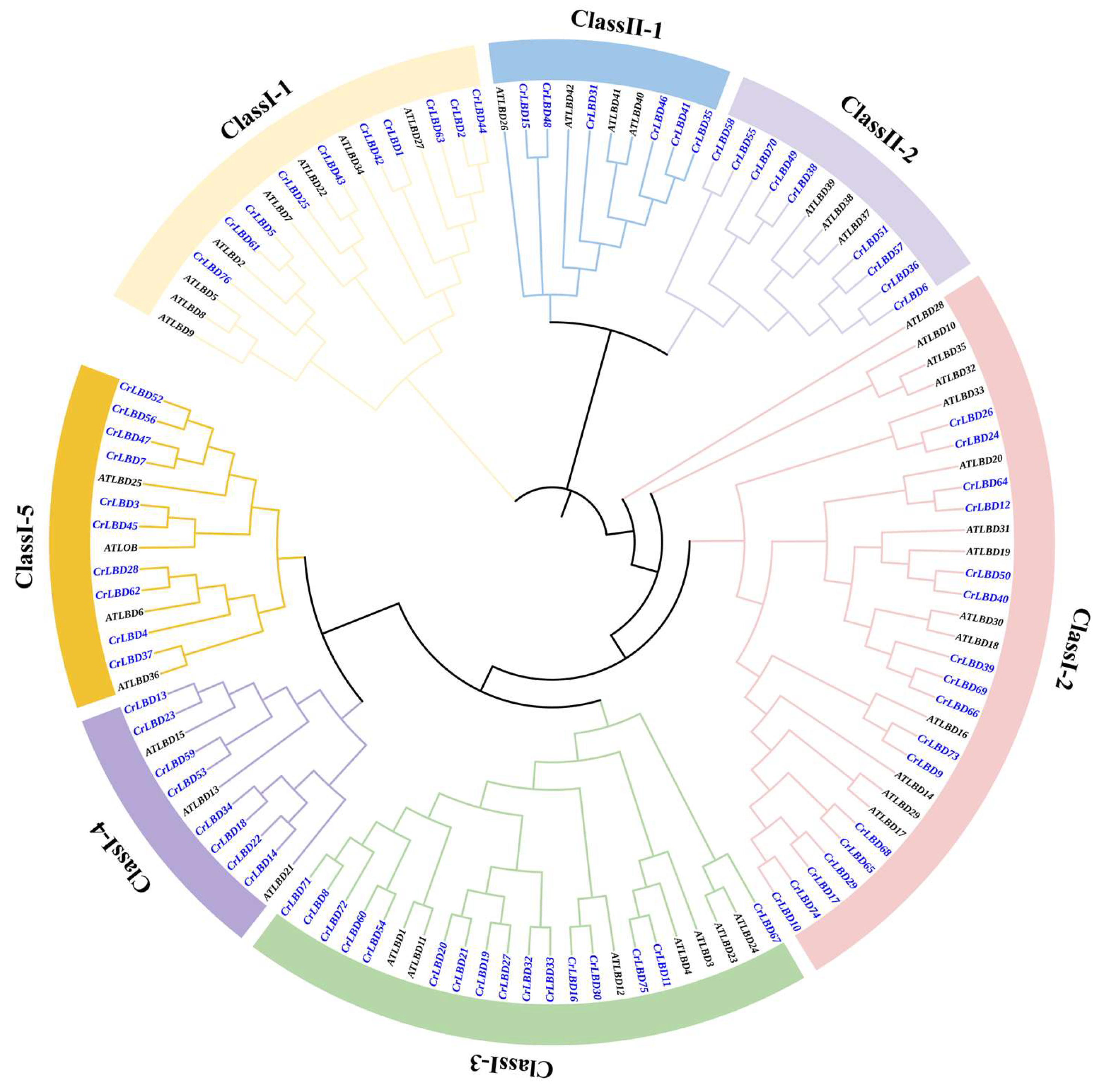 Horticulturae 11 01429 g001 Horticulturae 11 01429 g001