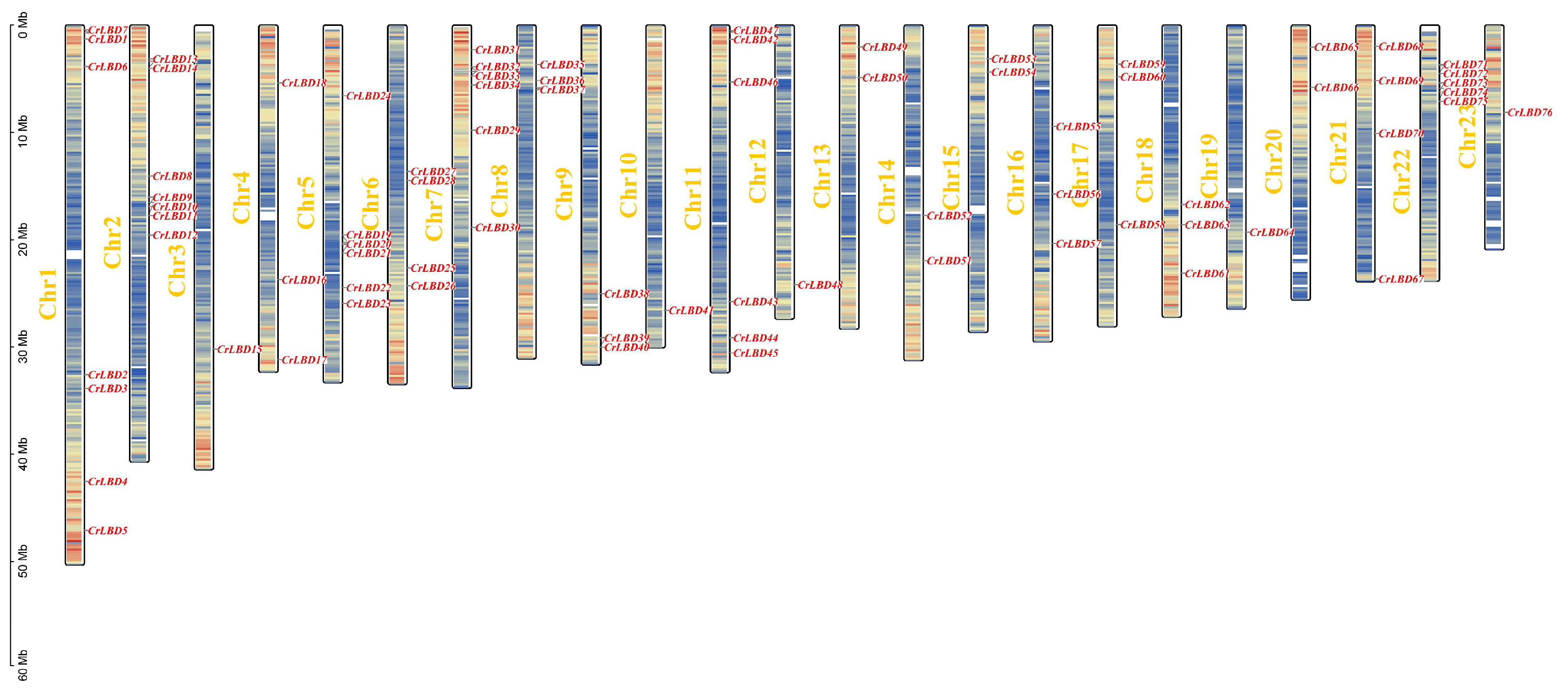 Horticulturae 11 01429 g002 Horticulturae 11 01429 g002