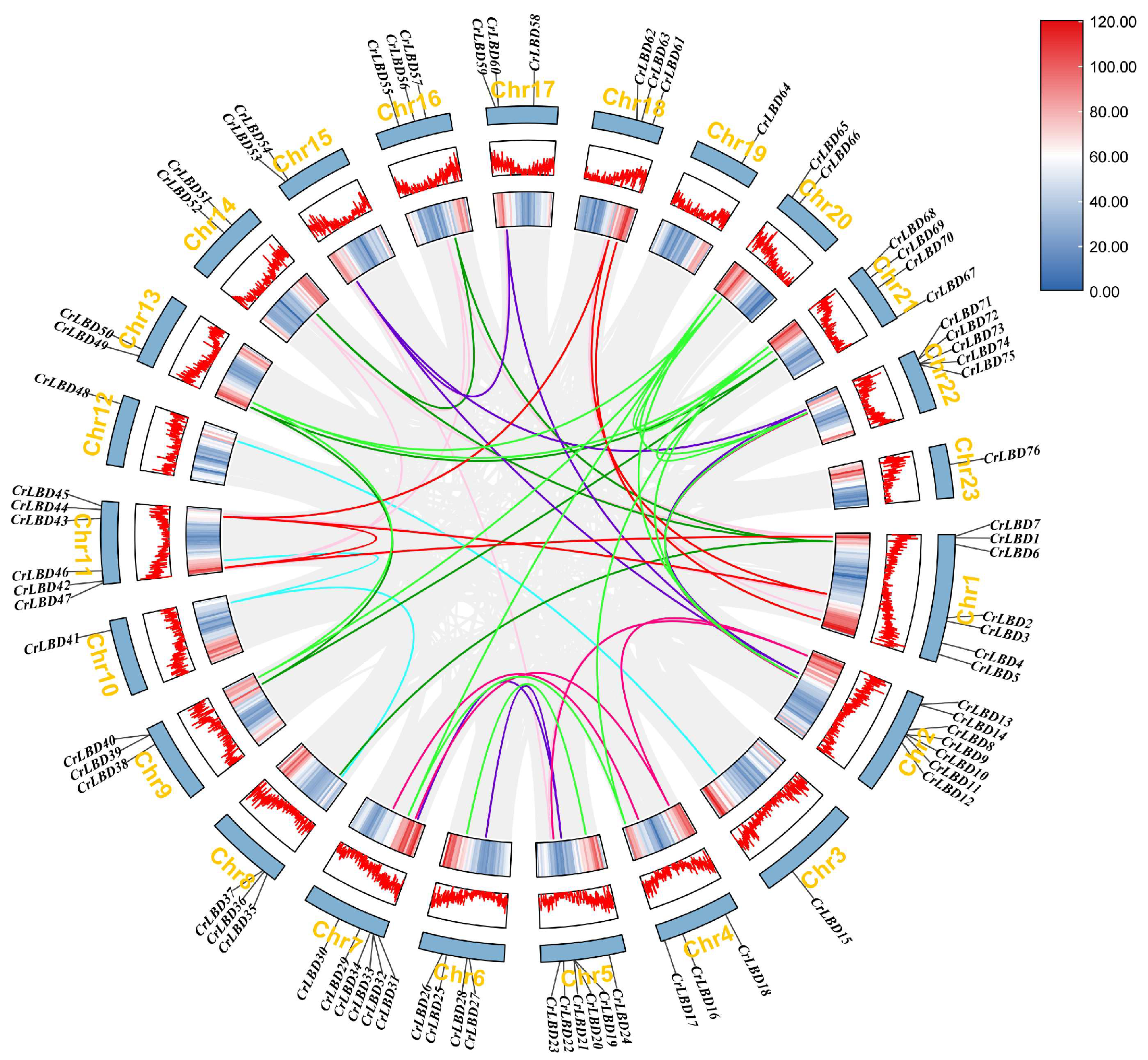 Horticulturae 11 01429 g003 Horticulturae 11 01429 g003